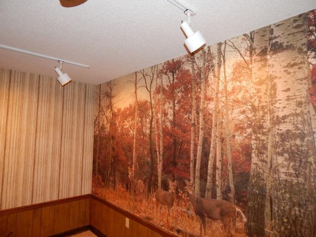 COUNTRY BREEZE EST LOT 1 - Residential