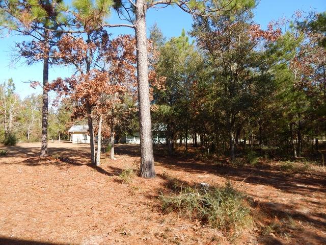 COUNTRY BREEZE EST LOT 1 - Residential