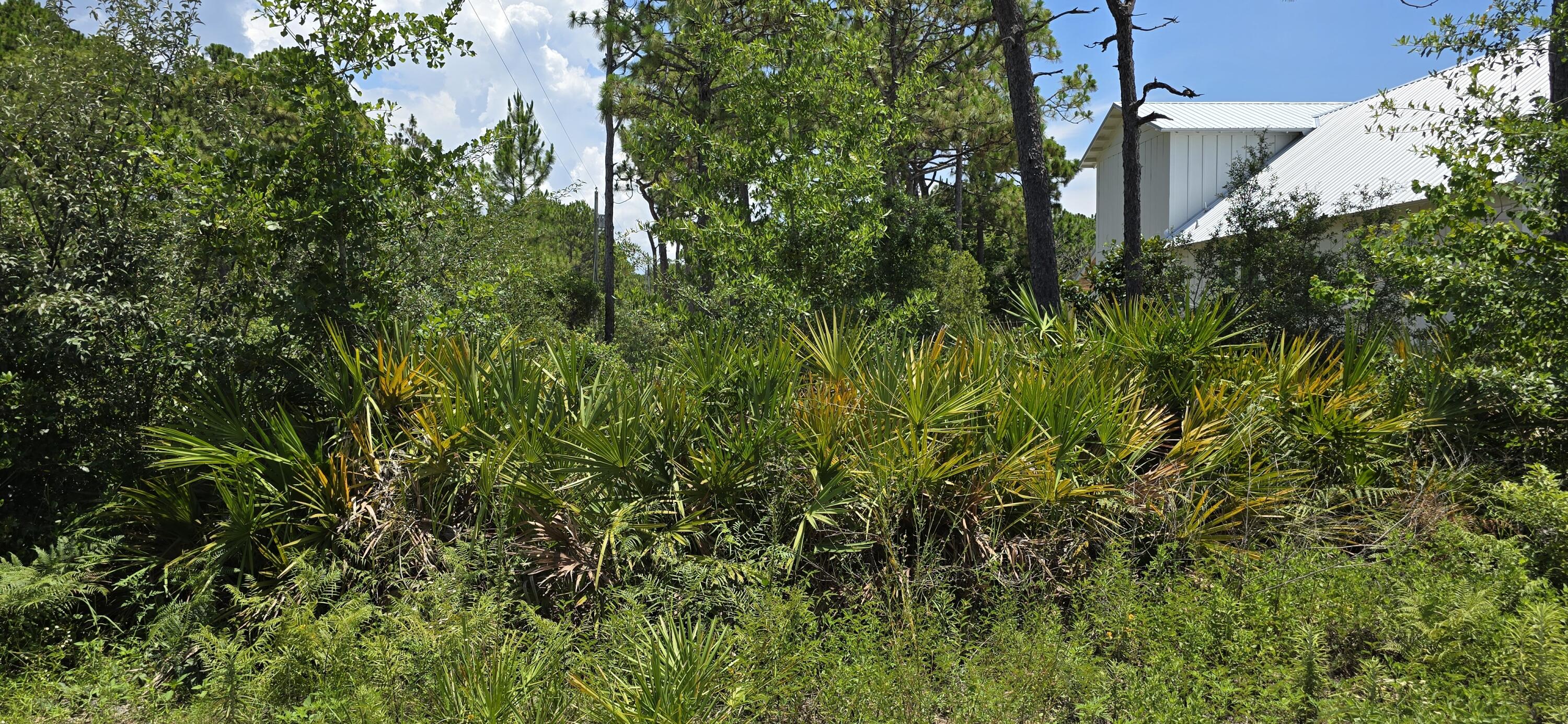 GULF SHORE MANOR - Land