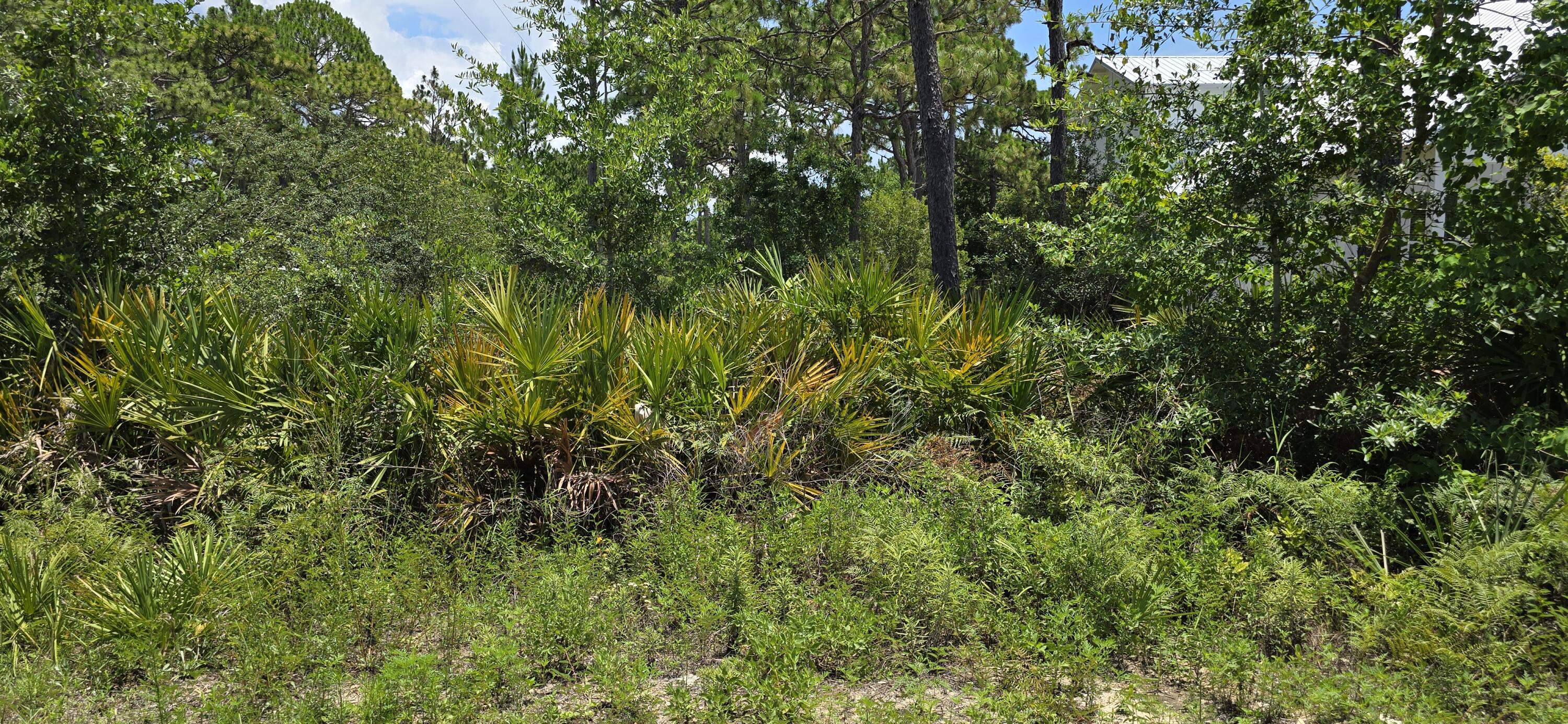 Build Your Dream Beach Home in the Heart of Seagrove!Tucked away on a quiet corner in sought-after Seagrove Beach, this prime homesite offers the perfect setting for a spacious coastal retreat--complete with room for a pool. Enjoy the freedom of no HOA, plus the convenience of deeded beach access and a public beach access point just down the road at the end of San Juan.Ideally located less than 1.5 miles from Seaside, you'll be close to everything that makes 30A so special--sugar-white beaches, scenic bike paths, rare coastal dune lakes, charming beach towns, nature preserves, and top-rated dining and shopping. Water and sewer connections are available, and the property sits in Flood Zone X for added peace of mind. Whether you're building your full-time residence or a vacation getaway, this location puts the best of the Emerald Coast right at your doorstep.