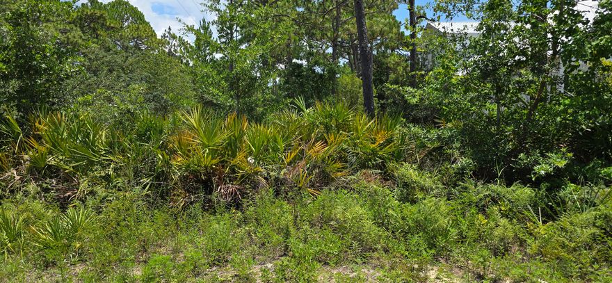 Build Your Dream Beach Home in the Heart of Seagrove!Tucked away on a quiet corner in sought-after Seagrove Beach, this prime homesite offers the perfect setting for a spacious coastal retreat--complete with room for a pool. Enjoy the freedom of no HOA, plus the convenience of deeded beach access and a public beach access point just down the road at the end of San Juan.Ideally located less than 1.5 miles from Seaside, you'll be close to everything that makes 30A so special--sugar-white beaches, scenic bike paths, rare coastal dune lakes, charming beach towns, nature preserves, and top-rated dining and shopping. Water and sewer connections are available, and the property sits in Flood Zone X for added peace of mind. Whether you're building your full-time residence or a vacation getaway, this location puts the best of the Emerald Coast right at your doorstep.