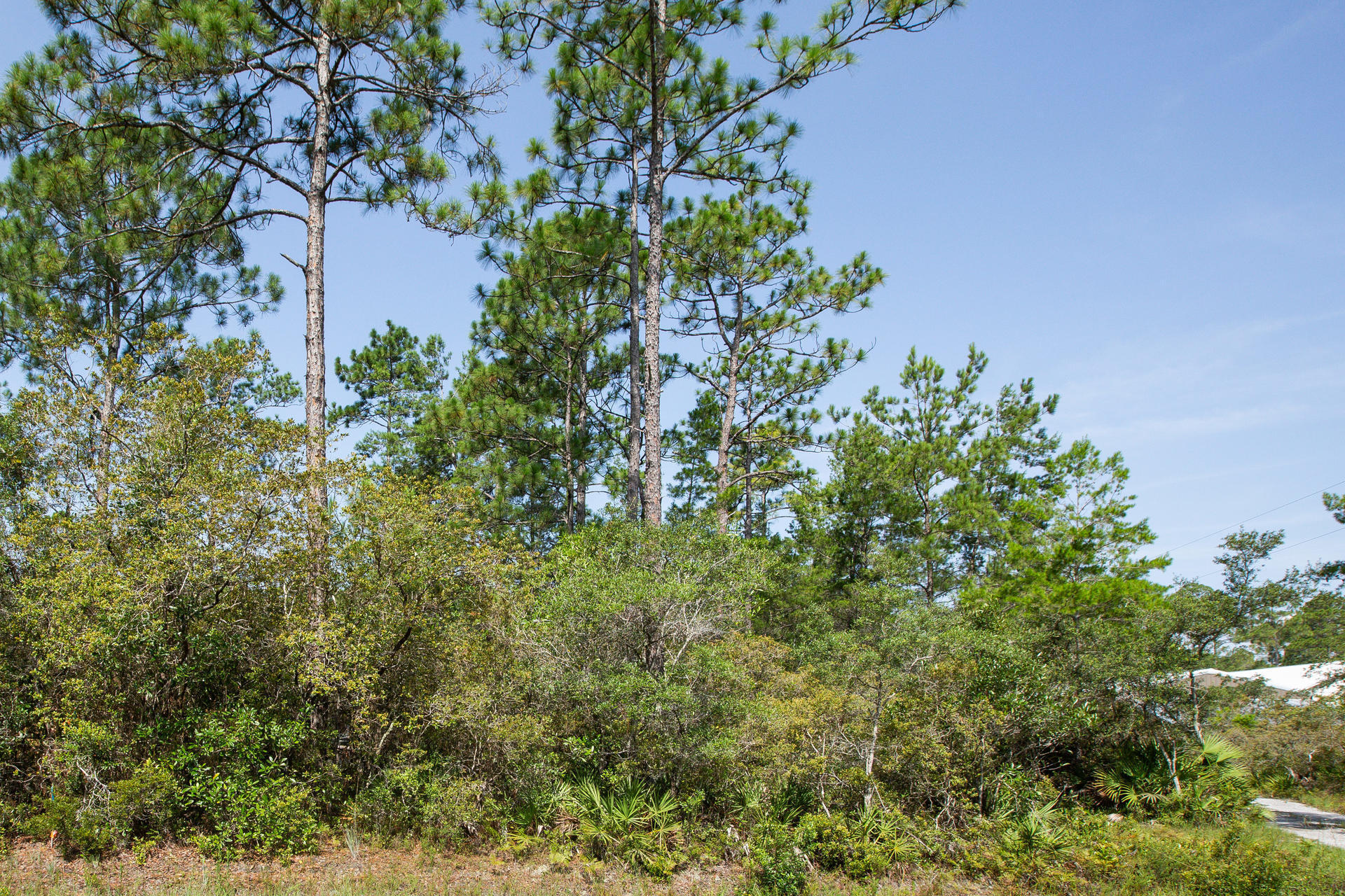 BAYOU CREEK ESTATES - Land