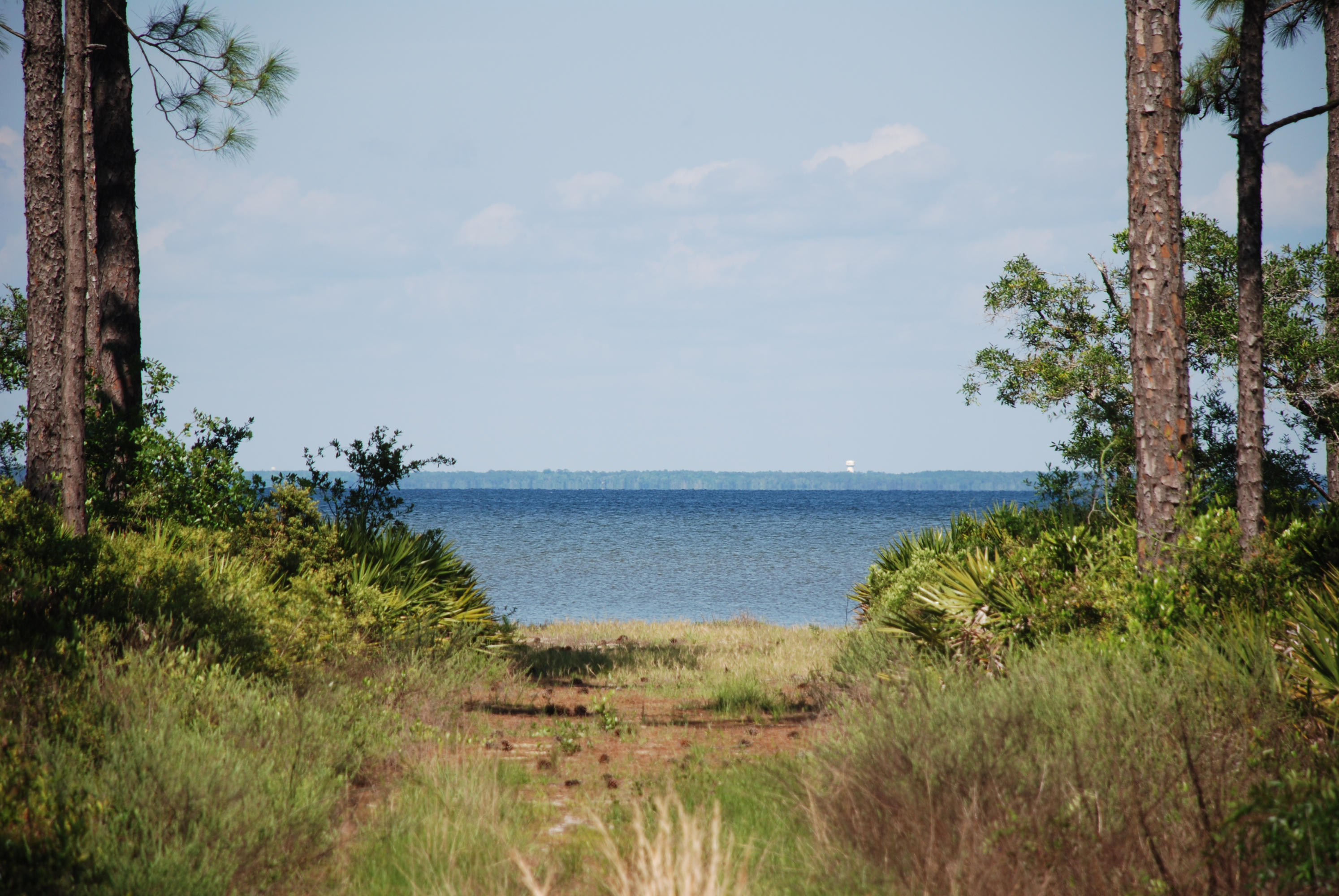 DRIFTWOOD ESTATES - Land