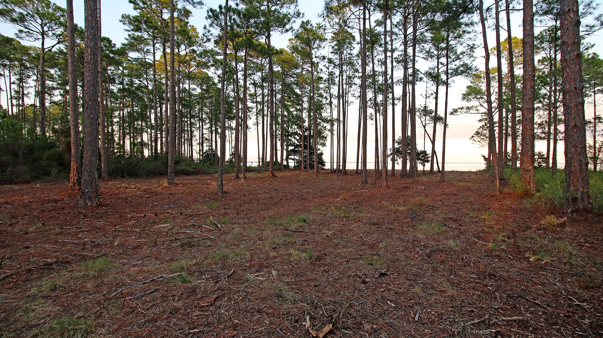 DRIFTWOOD ESTATES - Land