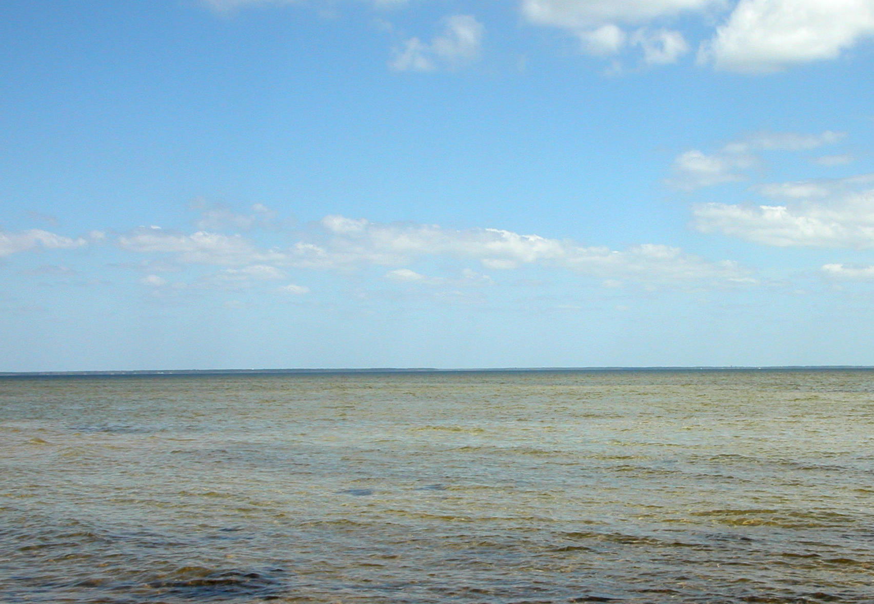 DRIFTWOOD ESTATES - Land