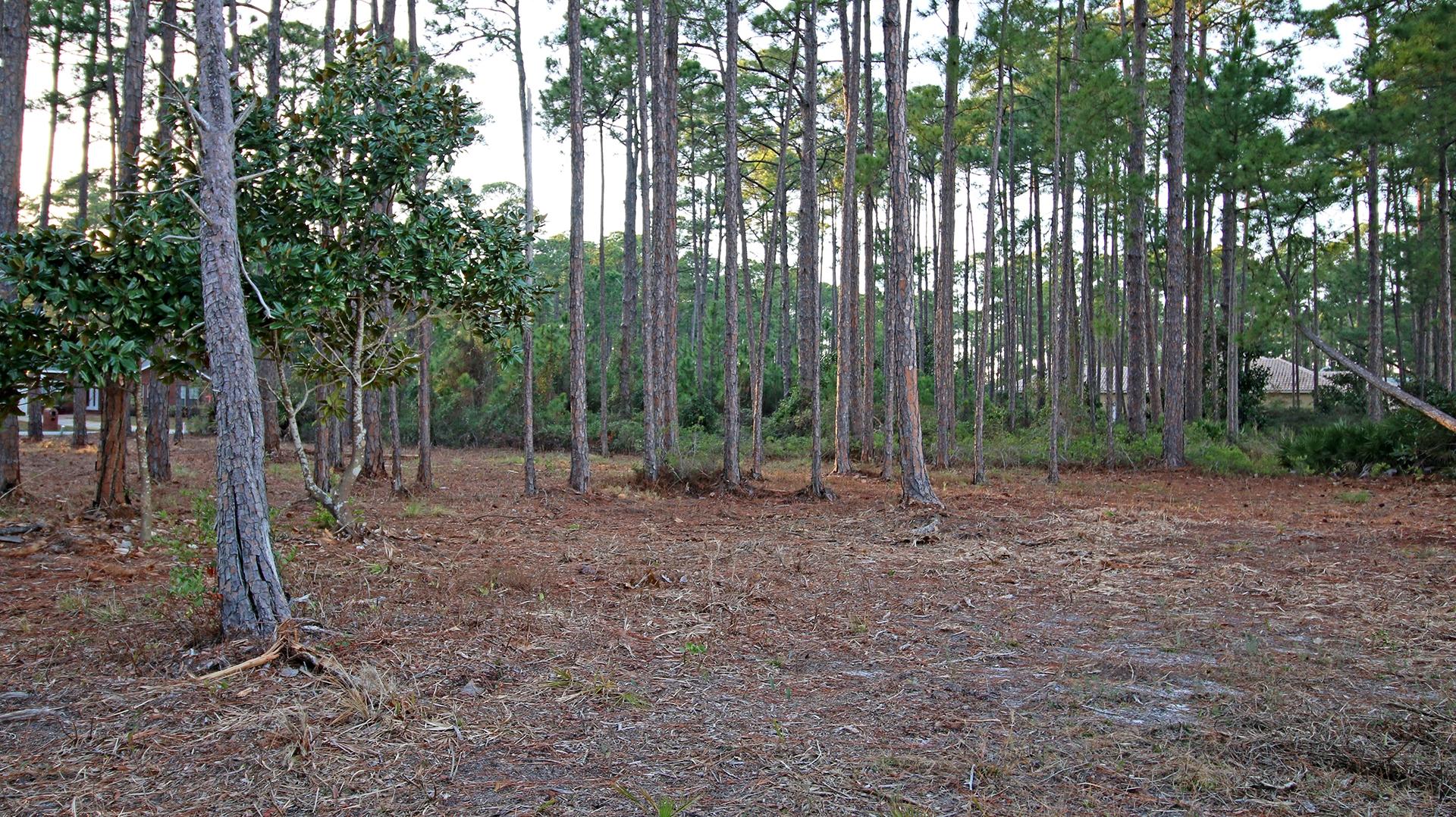 DRIFTWOOD ESTATES - Land