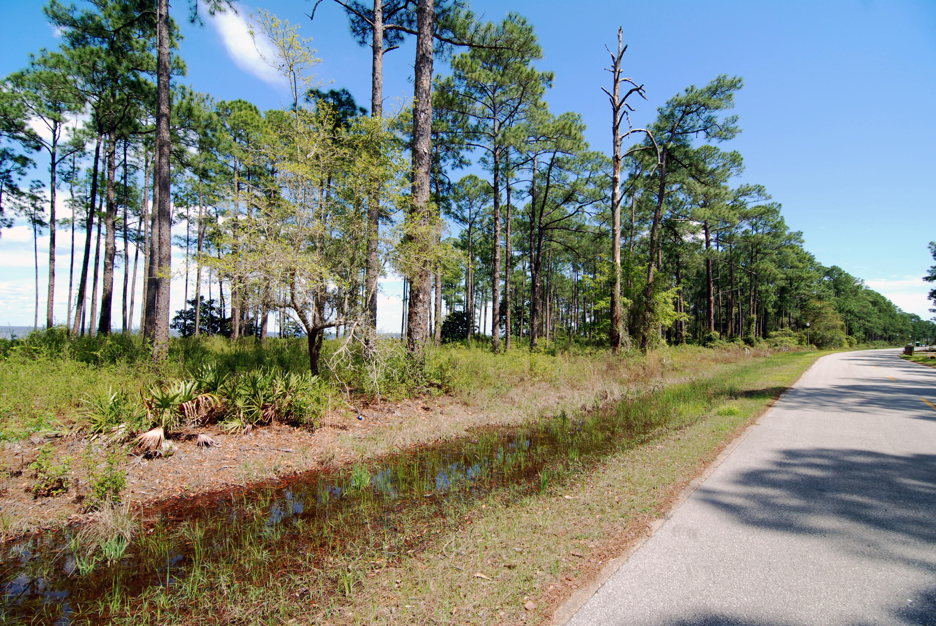 DRIFTWOOD ESTATES - Land