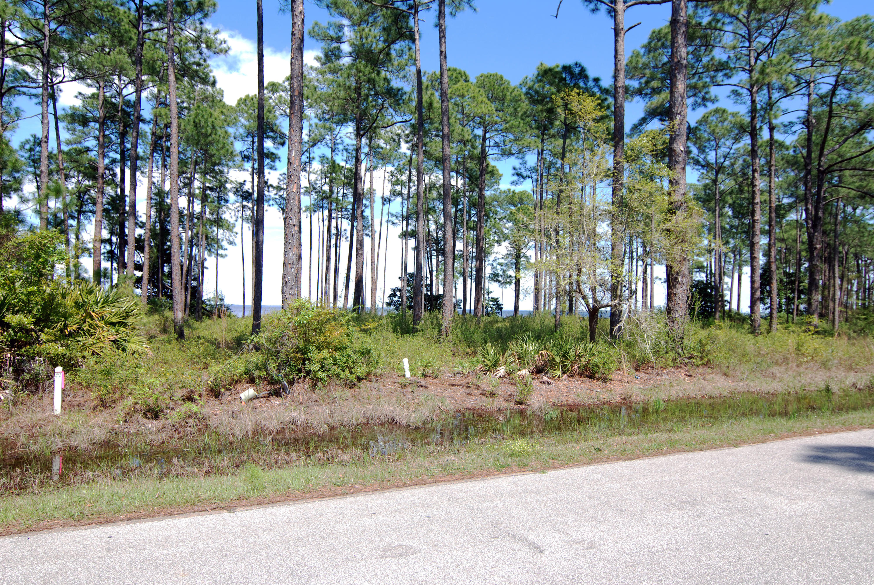 DRIFTWOOD ESTATES - Land