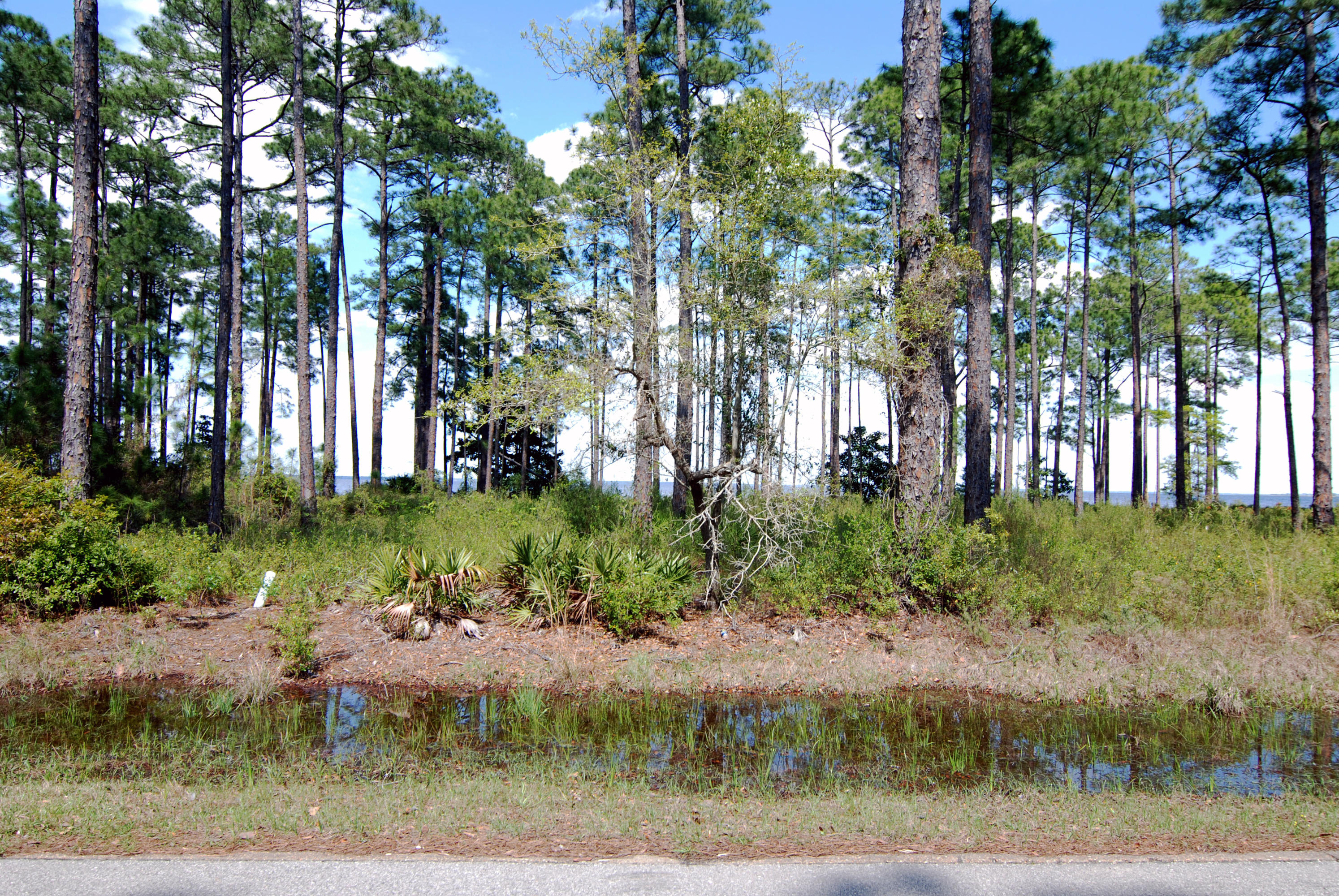 DRIFTWOOD ESTATES - Land