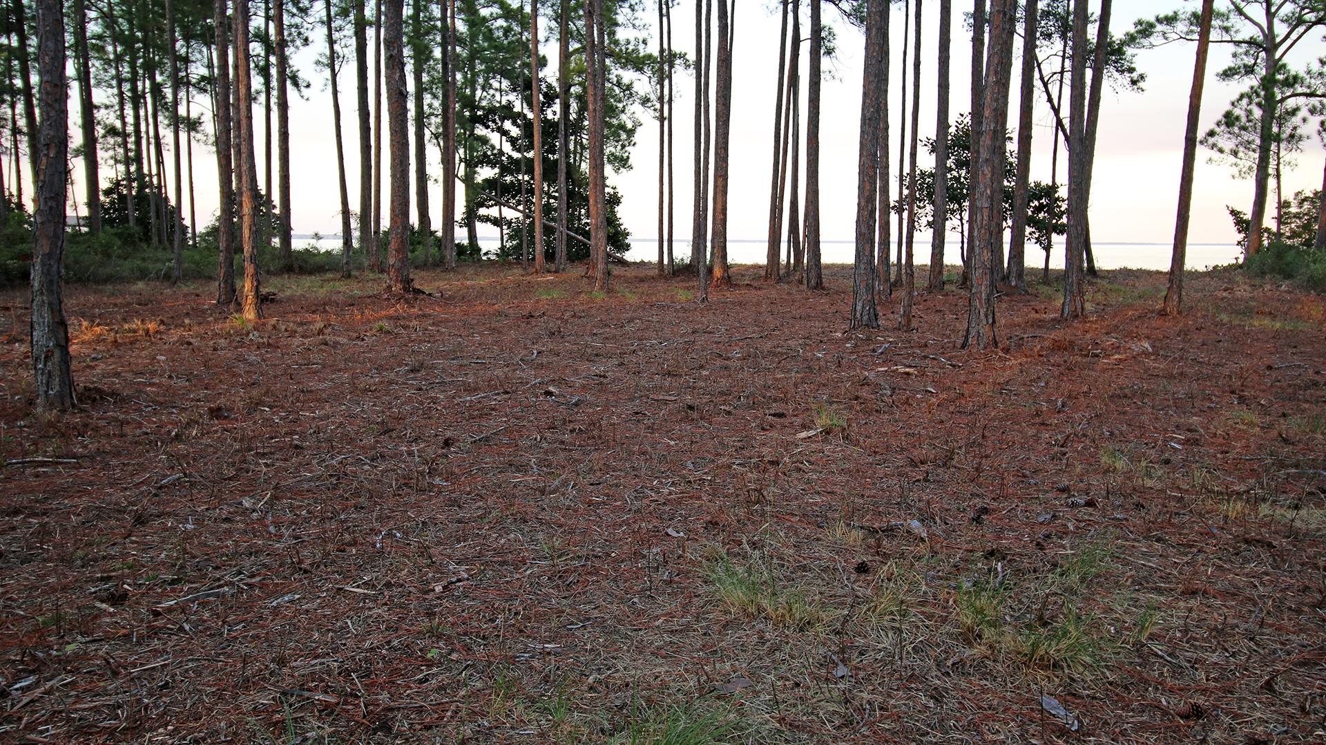 DRIFTWOOD ESTATES - Land