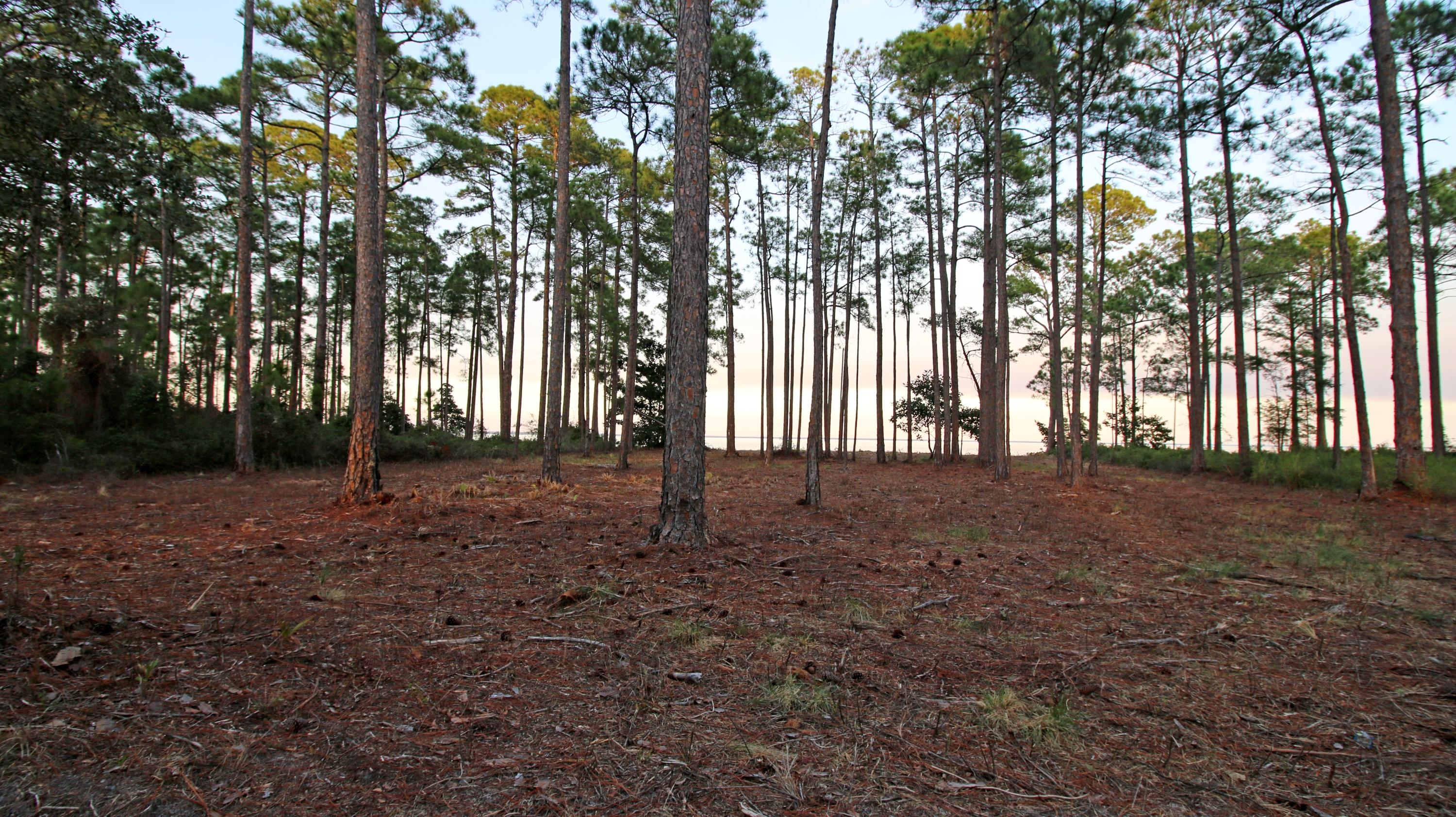 DRIFTWOOD ESTATES - Land