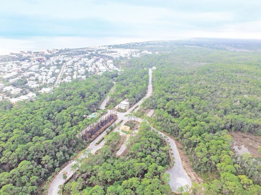 Treetop Village of Seacrest is a secluded gated community nestled between Rosemary Beach and Alys Beach with convenient dual access from Scenic Hwy 30-A in Seacrest Beach and Hwy 98. This community offers a private community pool, a complimentary beach shuttle to and from the dedicated private Seacrest Beach access, cul-de-sac streets and easy access to Seacrest bike paths. Enjoy the luxury of privacy and seclusion in this quiet neighborhood in a natural setting with beautiful tall trees. Treetop Village of Seacrest is in a prime location within walking distance to amenities such as the Villages of South Walton, Rosemary and Alys Beach where you can enjoy restaurants, live music, shopping and much more. This community is truly the best kept secret on 30A!