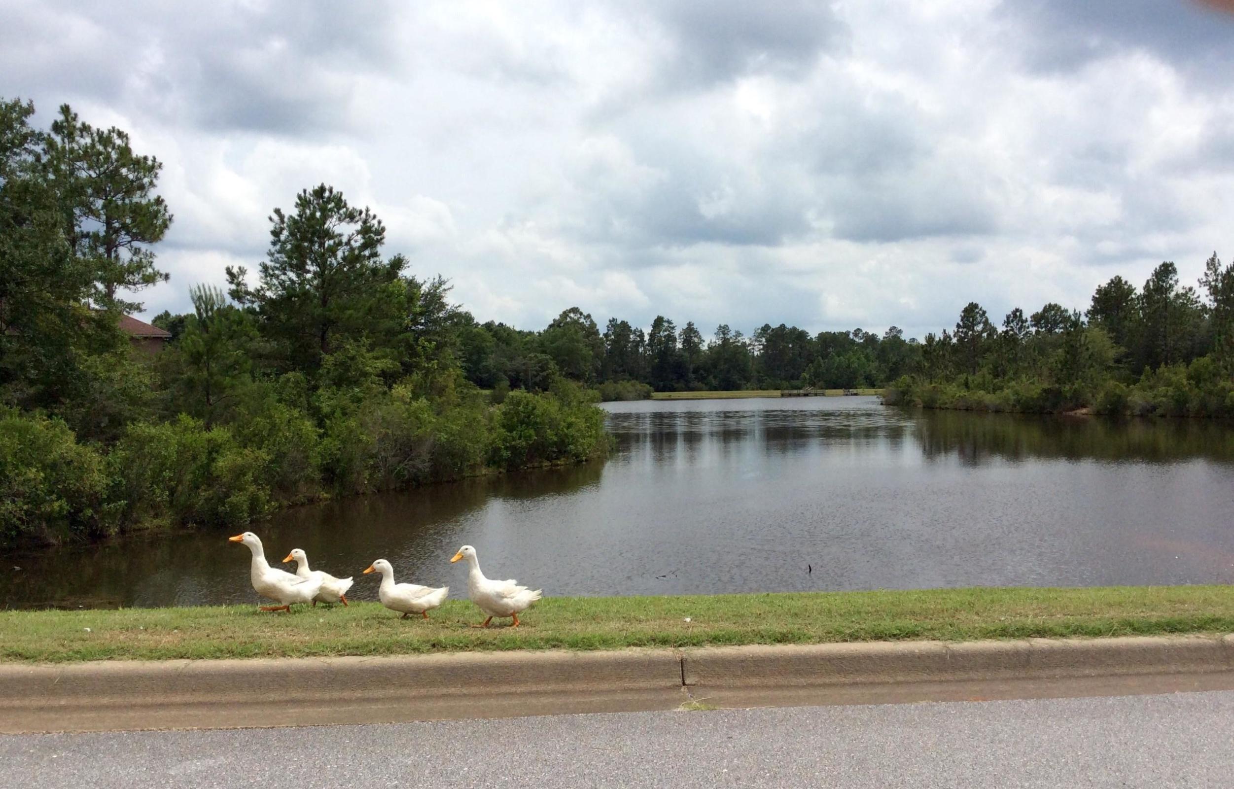 LAKE ARTHUR EST PH II - Land