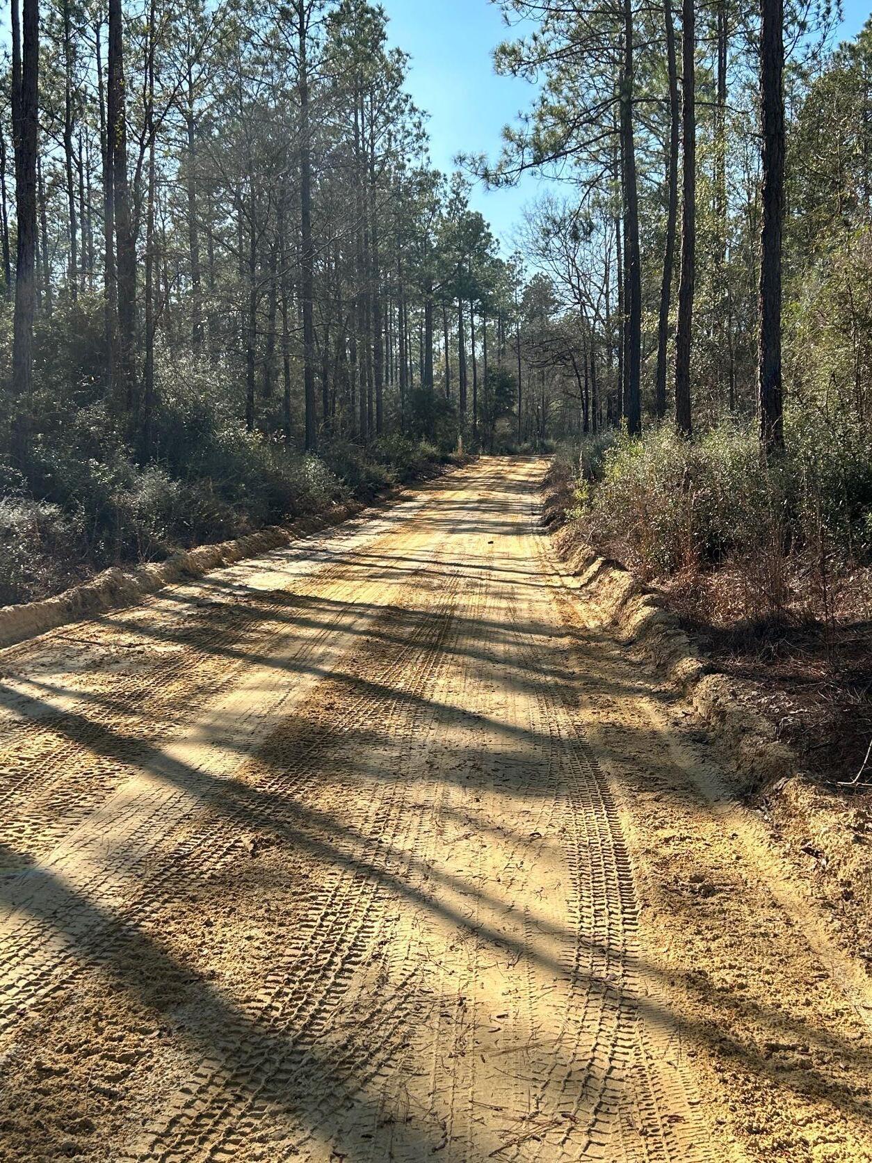 Walton Plantation - Land