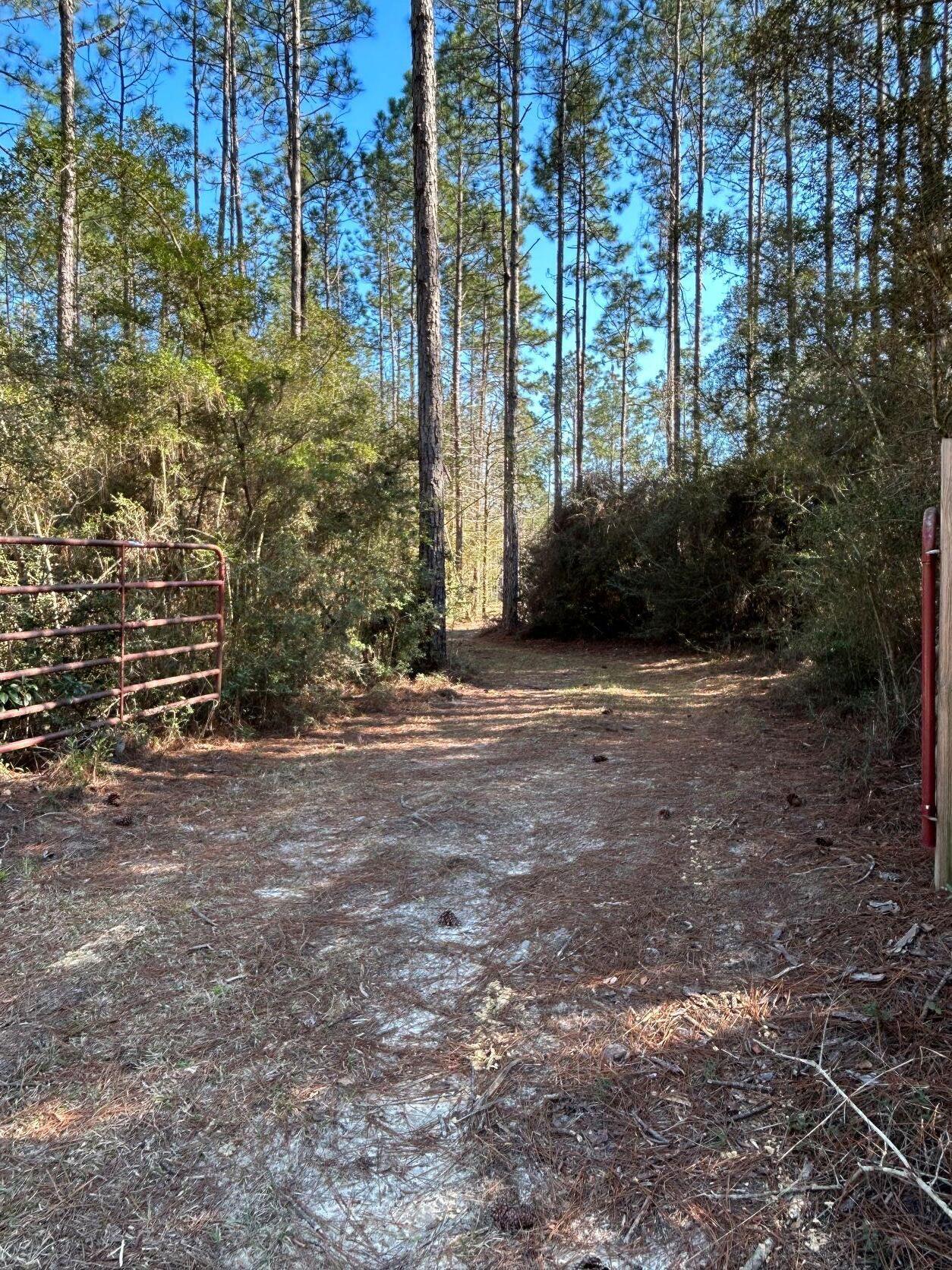 Walton Plantation - Land