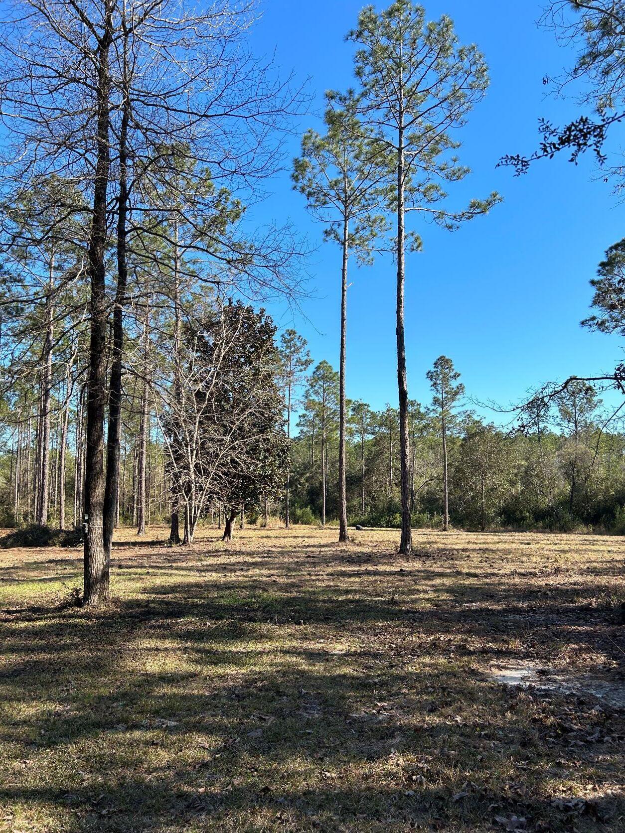 Walton Plantation - Land