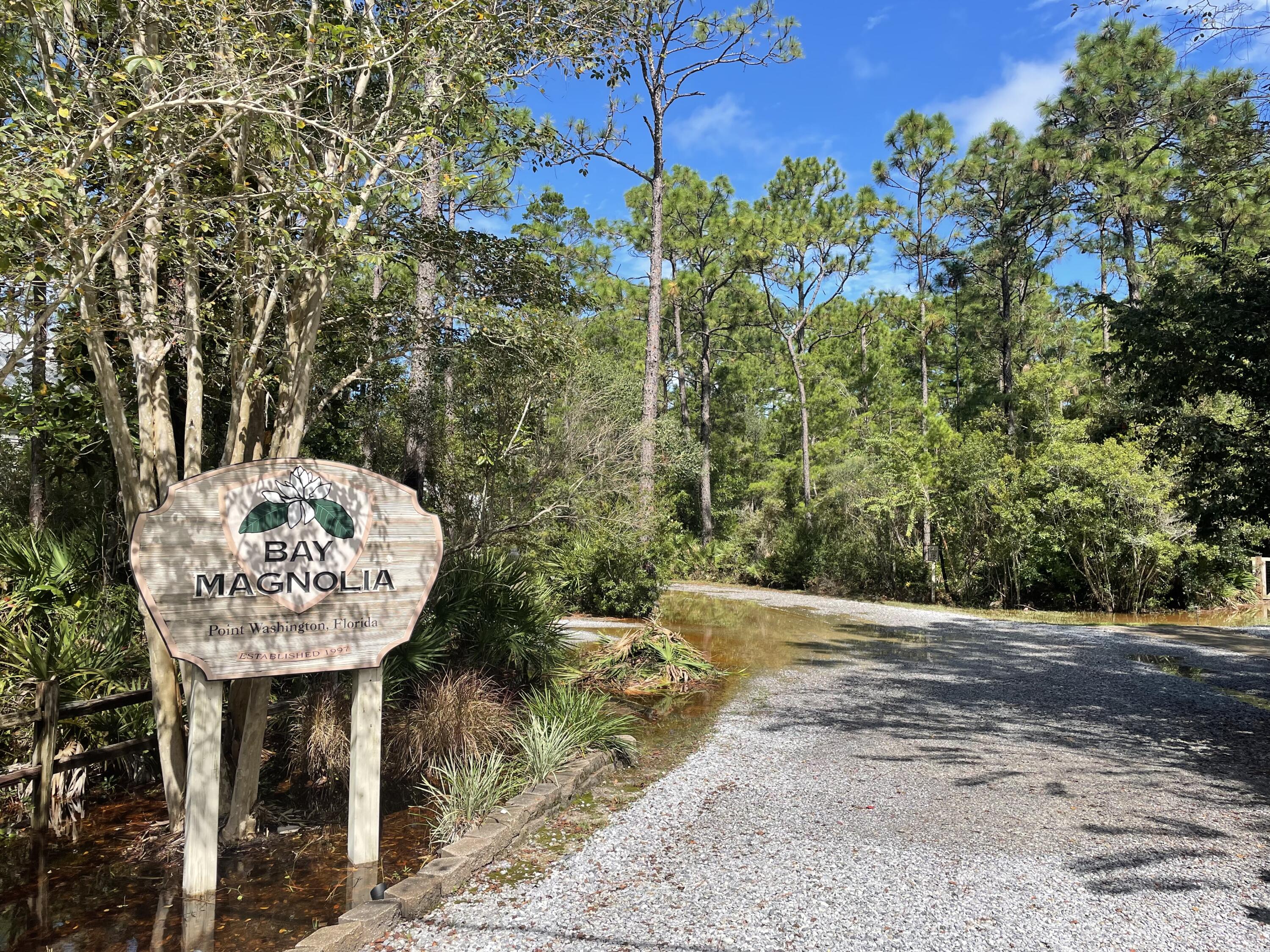 BAY MAGNOLIA - Land