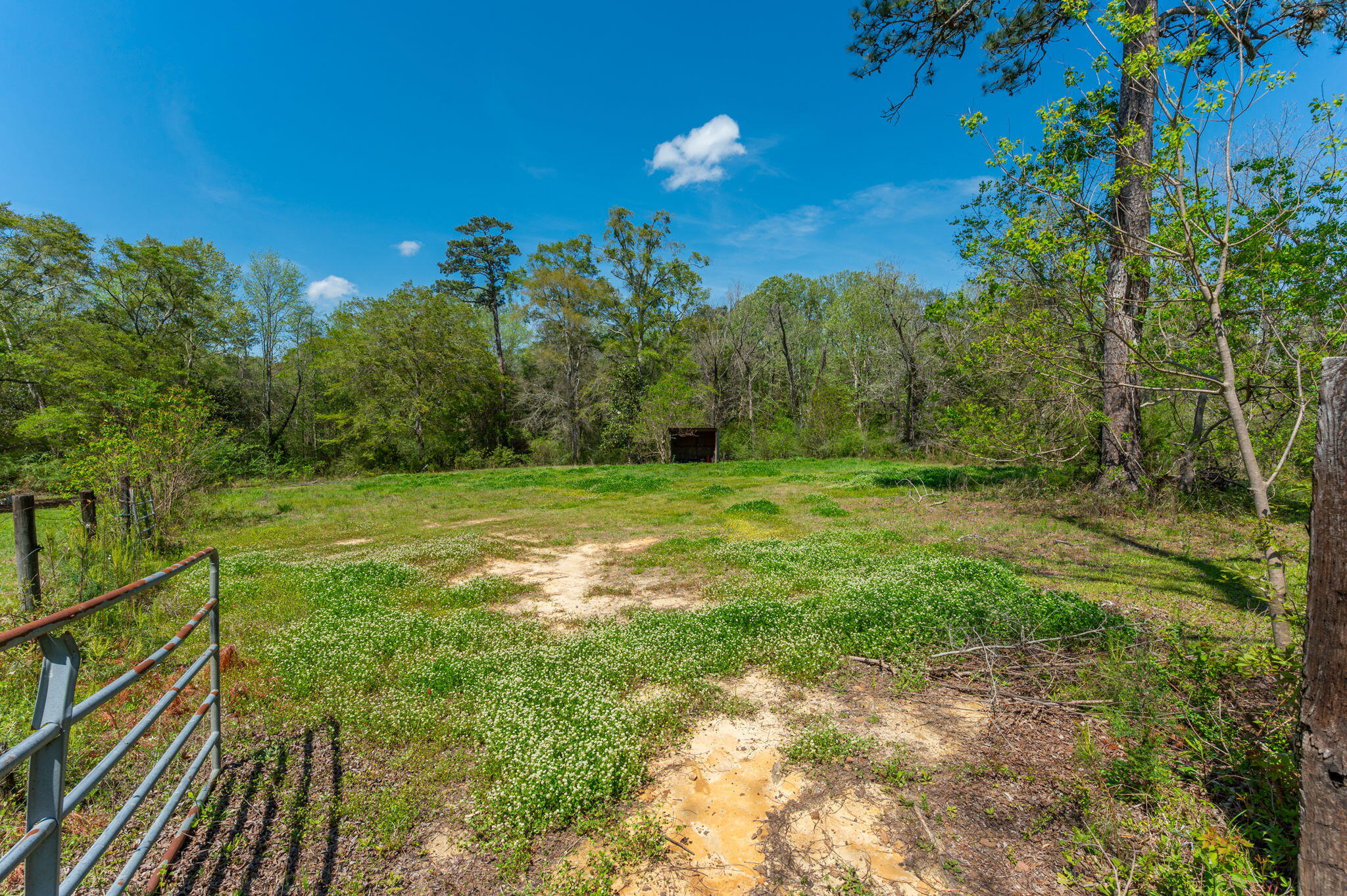 Meets and Bounds - Residential
