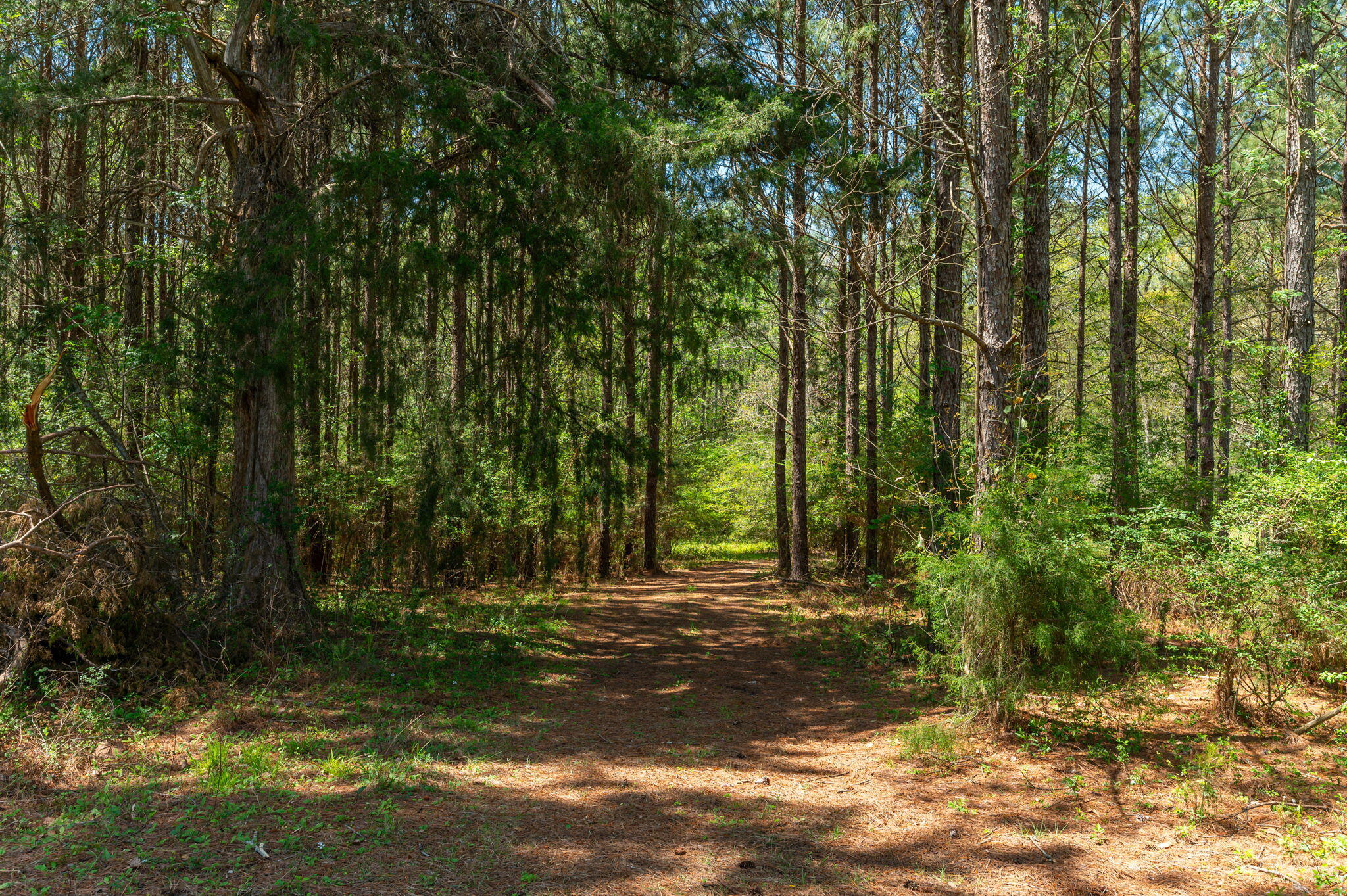 Meets and Bounds - Residential