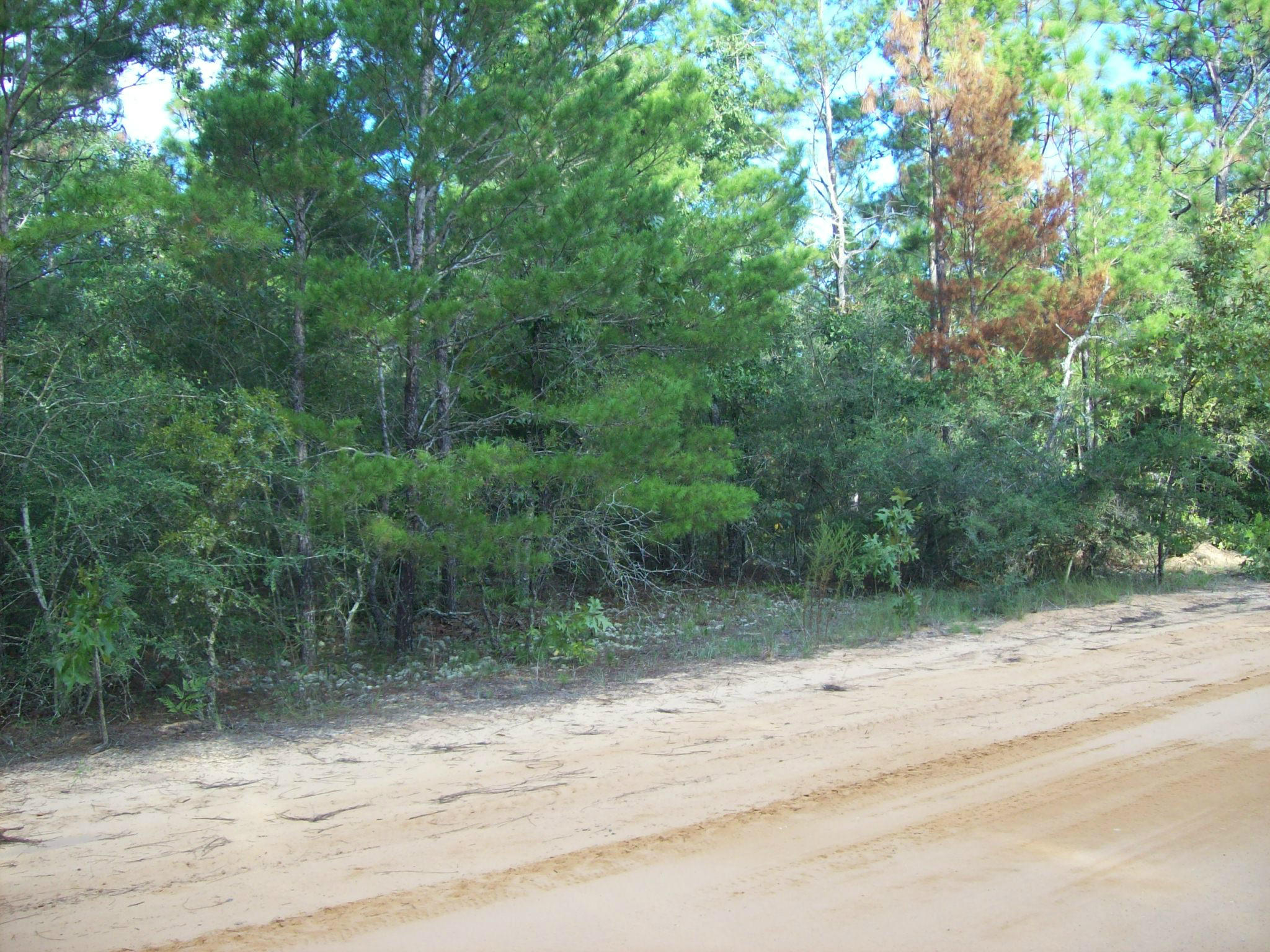 LEVEL 4.9 +/- ACRE PARCEL JUST MINUTES FROM TOWN JUST OFF HWY 90 EAST~ THIS WOULD MAKE A WONDERFUL HOME SITE~