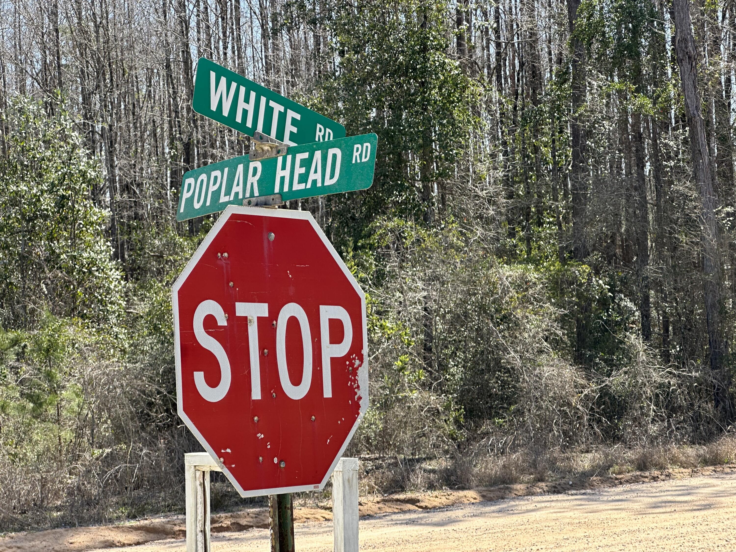 Dream Location for Country Living or Hunters Paradise either way you won't want to miss this opportunity! This Beautiful 74.25 +/- Acres of prime land on a corner lot on Dirt rd White RD. and open creek Rd. Power may be available from white rd. Bring your build plans, hunting gear, Horses and ATVS LOCATION LOCATION!!!! This Property has Easy Access to Panama City Beaches I-10, Hwy 79, Hwy 81, and Hwy 90.