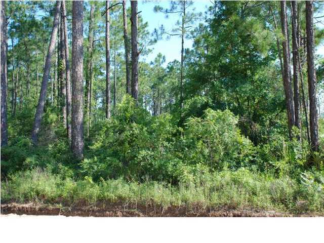 TOWN OF SANTA ROSA - Land