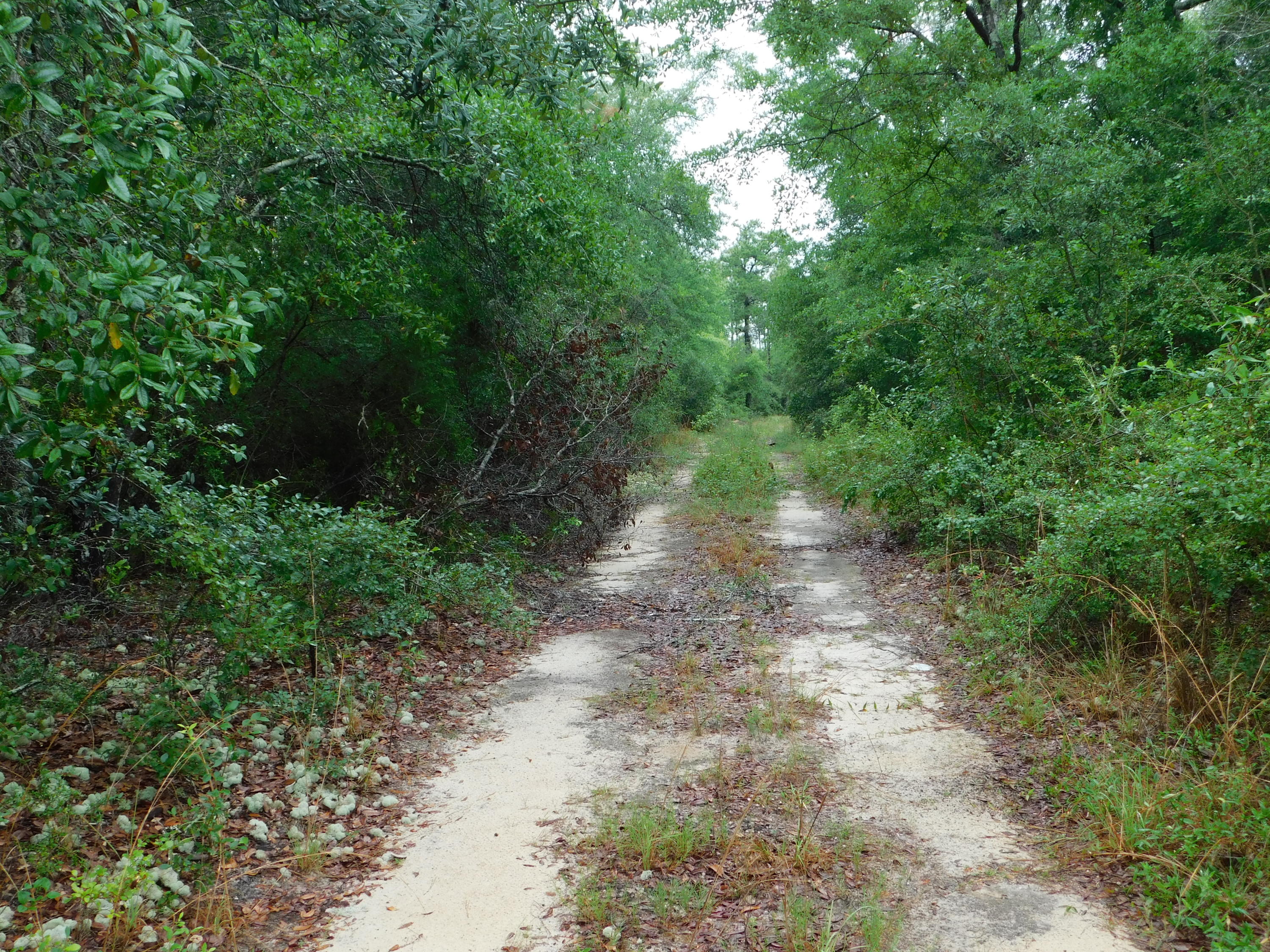 METES & BOUNDS - Land