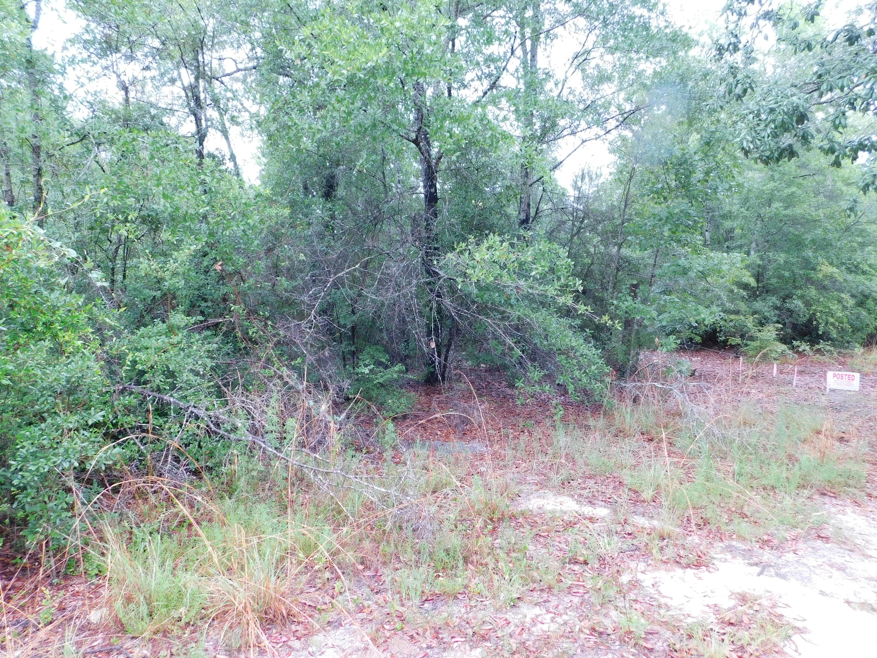 METES & BOUNDS - Land