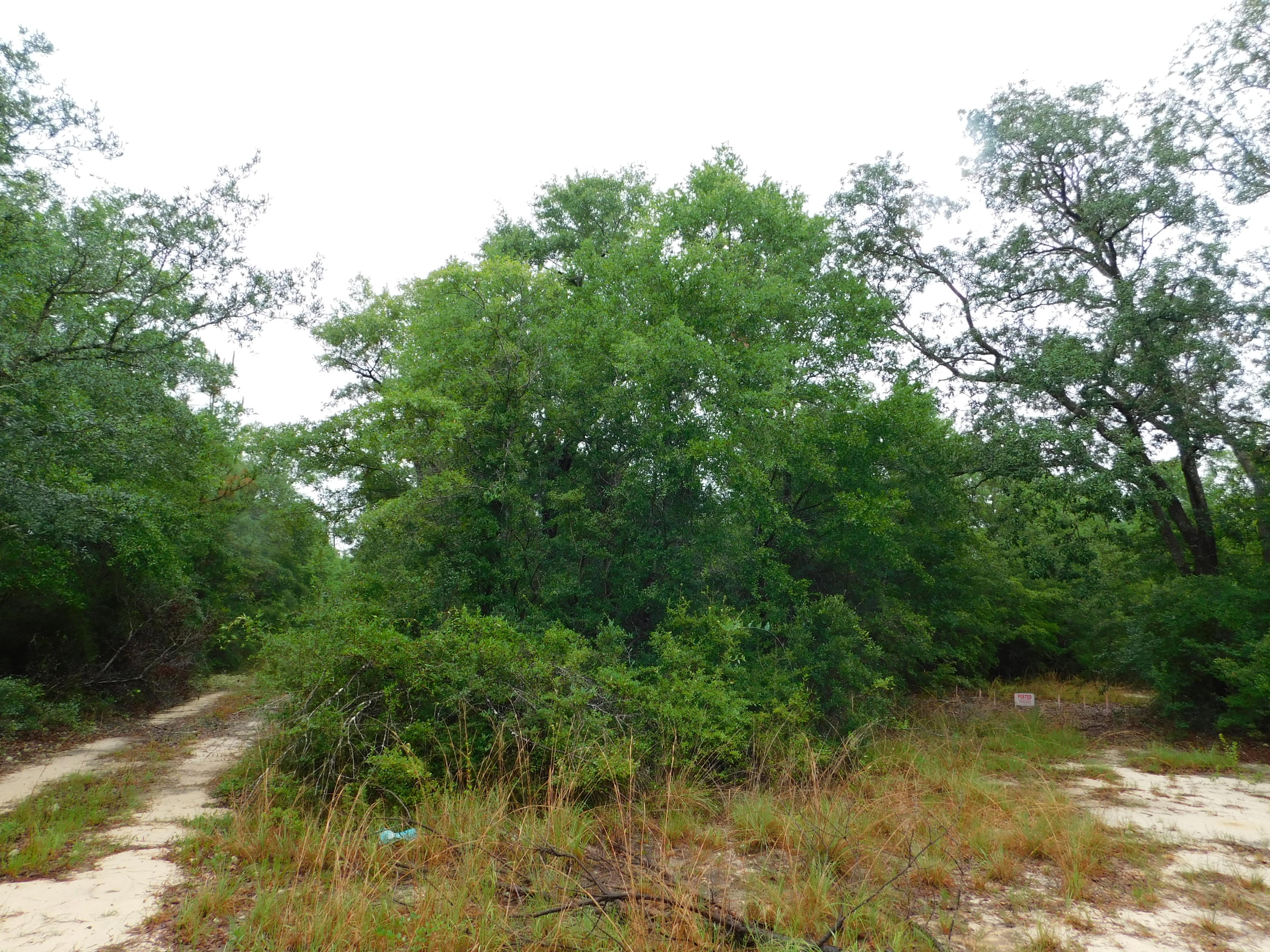 METES & BOUNDS - Land