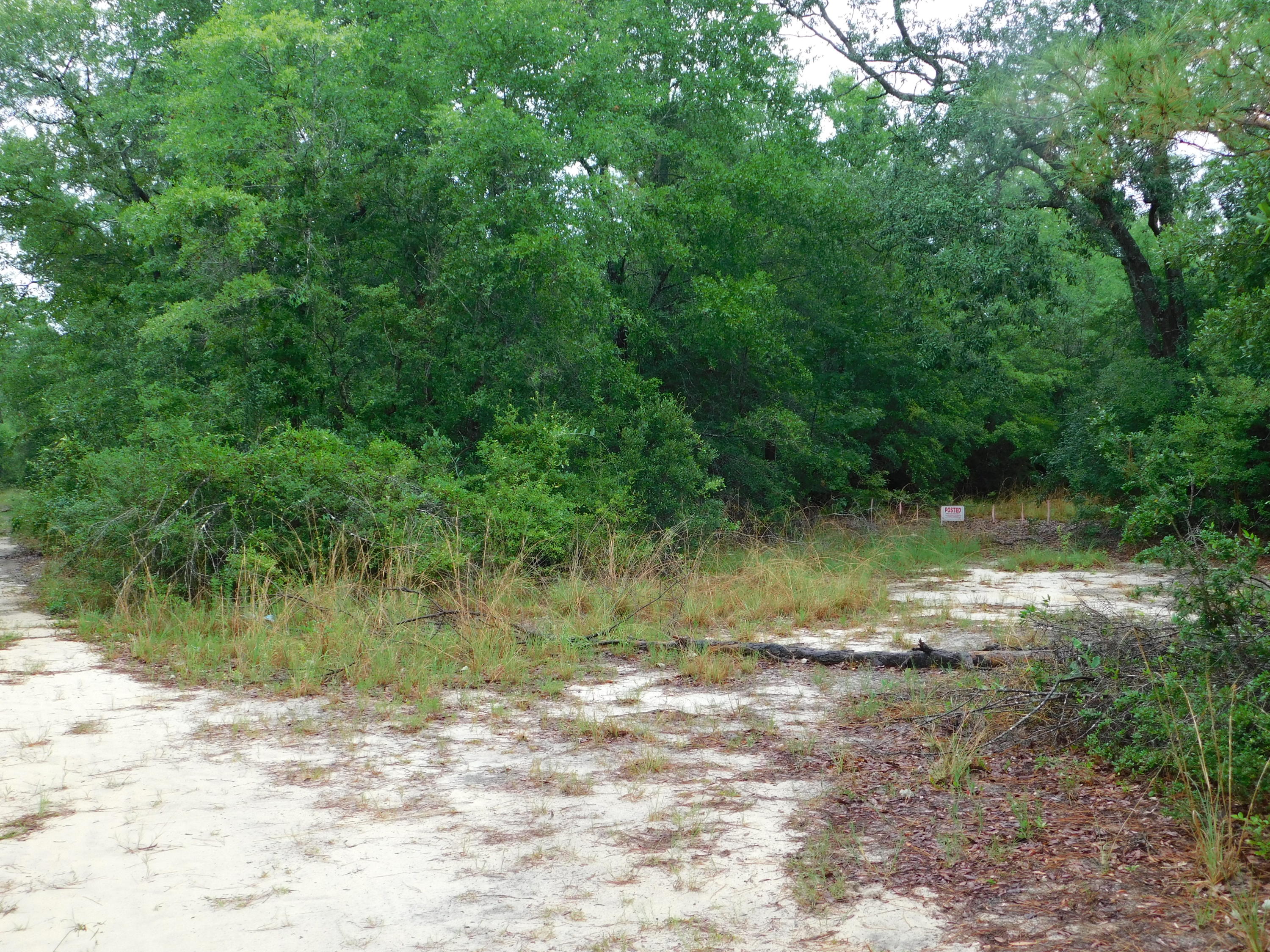 METES & BOUNDS - Land