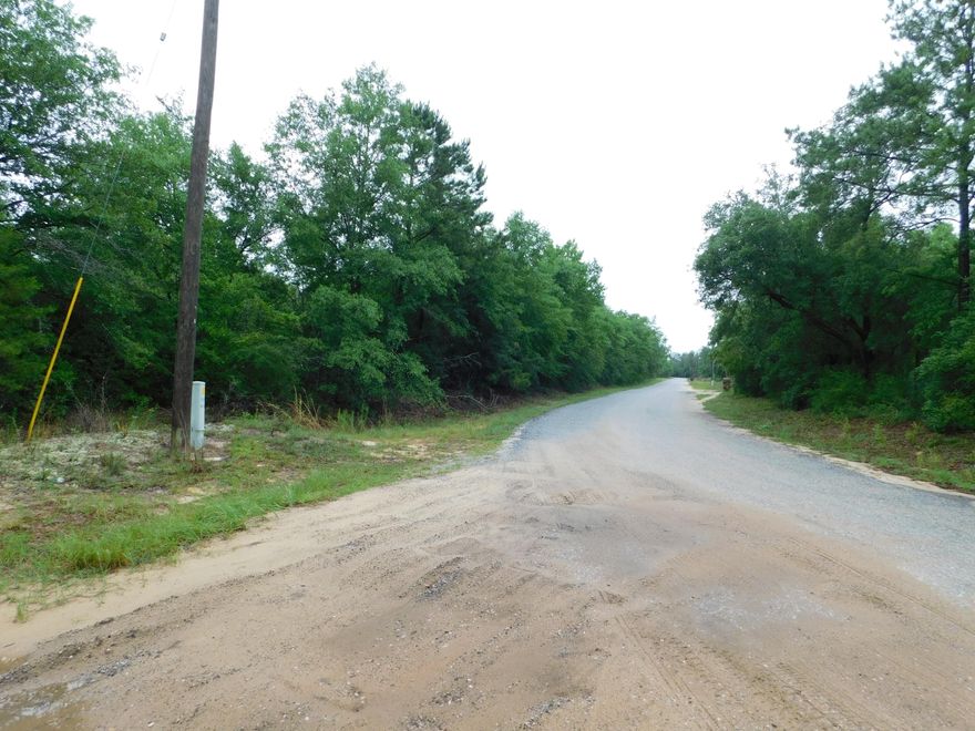 Bring you barn, RV and your house-plans today! Four wheeler fun! Mobile homes are allowed! This Location makes an easy commute to the nearby bases such as Eglin, Duke, Hurlburt, 7th Special Forces. Home site WOW! County web drawing is in-correct. See attached survey.