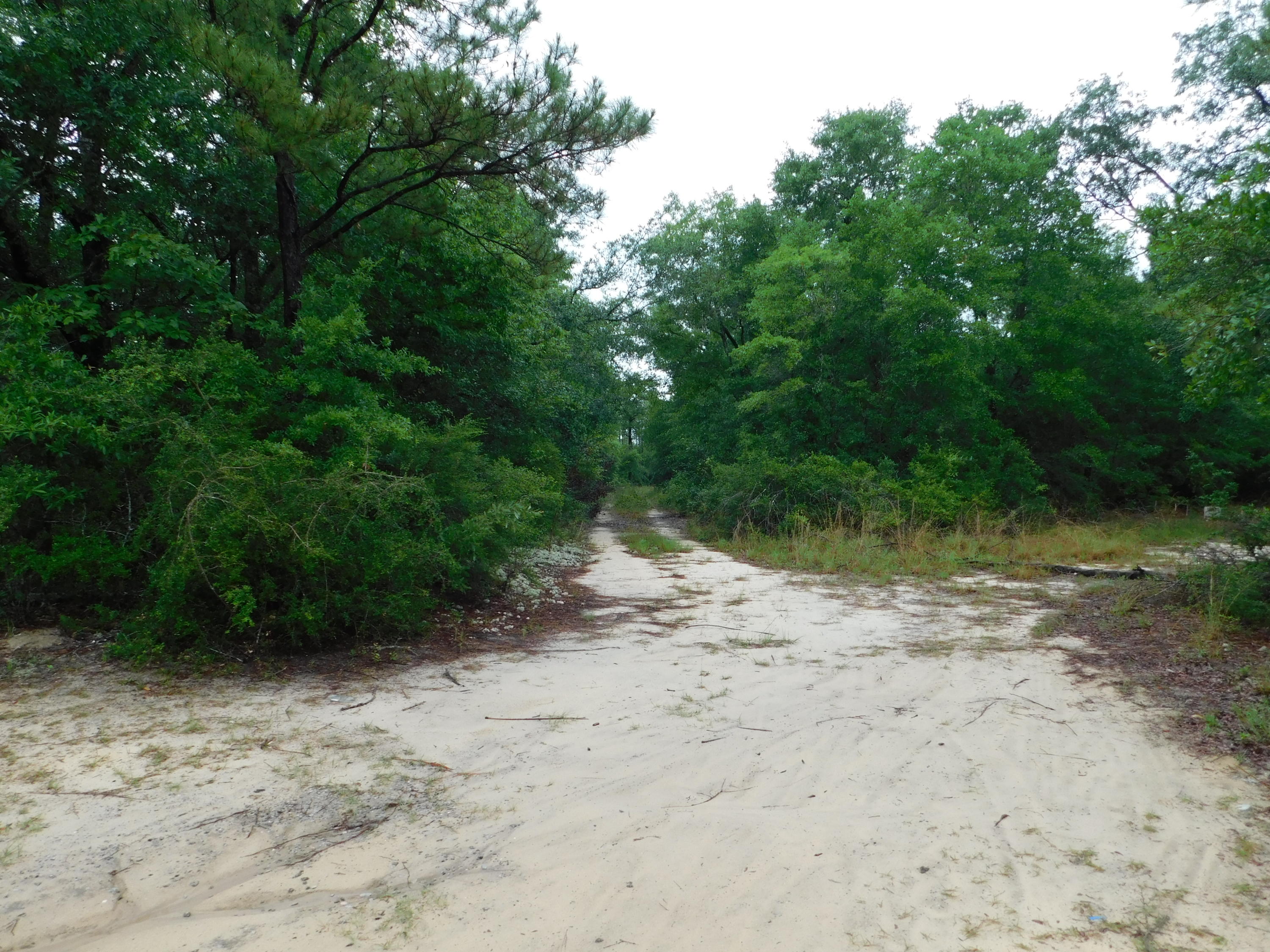 METES & BOUNDS - Land