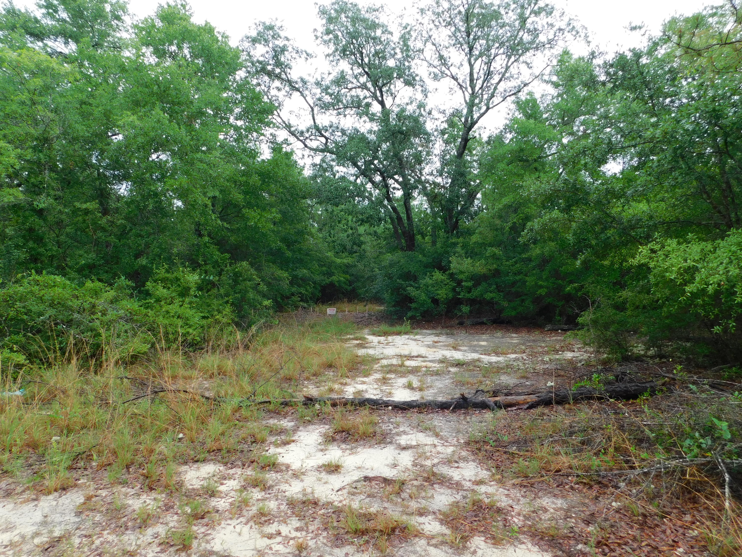 METES & BOUNDS - Land