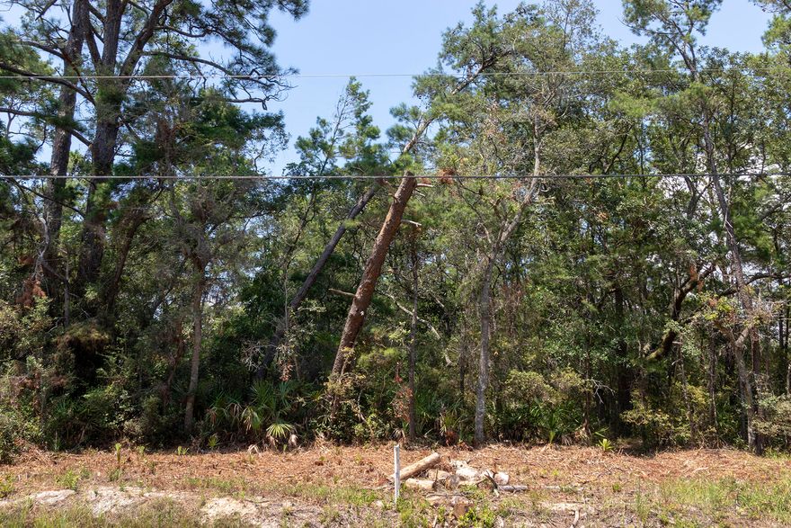 Welcome to this magnificent 50' x 150' lot located in the serene Magnolia Beach neighborhood of Point Washington.  Surrounded by lush greenery and a charming community, this property presents an incredible opportunity for you to build your dream home in a peaceful and private setting.Located minutes away from the beautiful beaches of South Walton along 30A,  you will have access to pristine white sands and crystal clear waters.  You can also enjoy fishing, kayaking, and paddle boarding on the Choctawhatchee Bay.***Buyer is responsible for personally verifying details about this property. Any information contained in this listing is believed to be accurate but is not guaranteed.***
