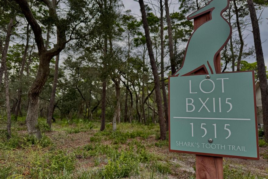 Do not miss out on this opportunity to build your dream home in the gulf coast's most unique gated lakefront community, Wild Heron. You will get to work with some of the best contractors to build a home that fits exactly what you need. While living in Wild Heron you will be able to enjoy the serenity of a quaint community while being just minutes away from 30A and Panama City Beach. This neighborhood offers many amenities such as a lake view swimming pool, health and fitness center, lakefront boathouse, tennis courts and a lakeside boardwalk.