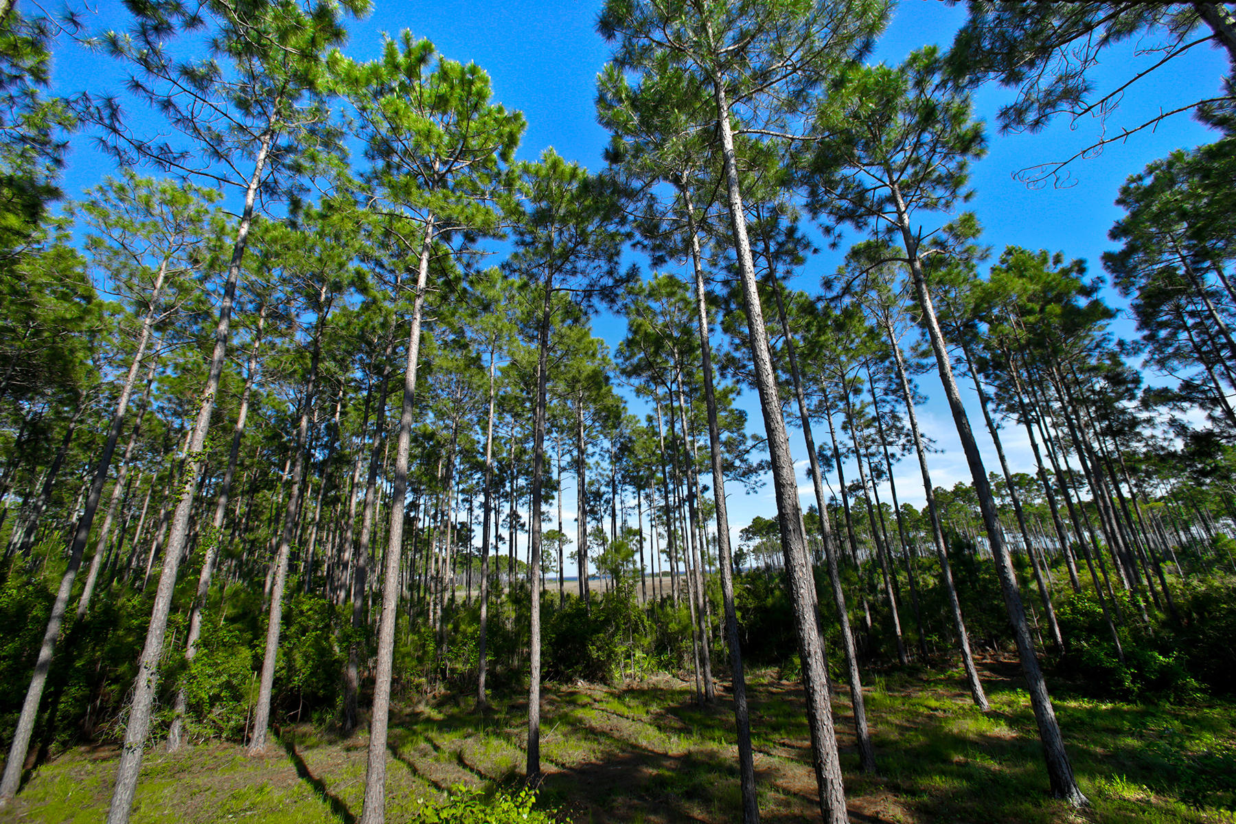 RIVERCAMPS ON CROOKED CREEK PH 2 - Residential