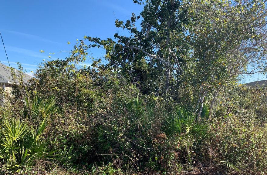Residential land in the heart of Lynn Haven. This property is conveniently located near schools, restaurants and shopping. Perfect for builder!