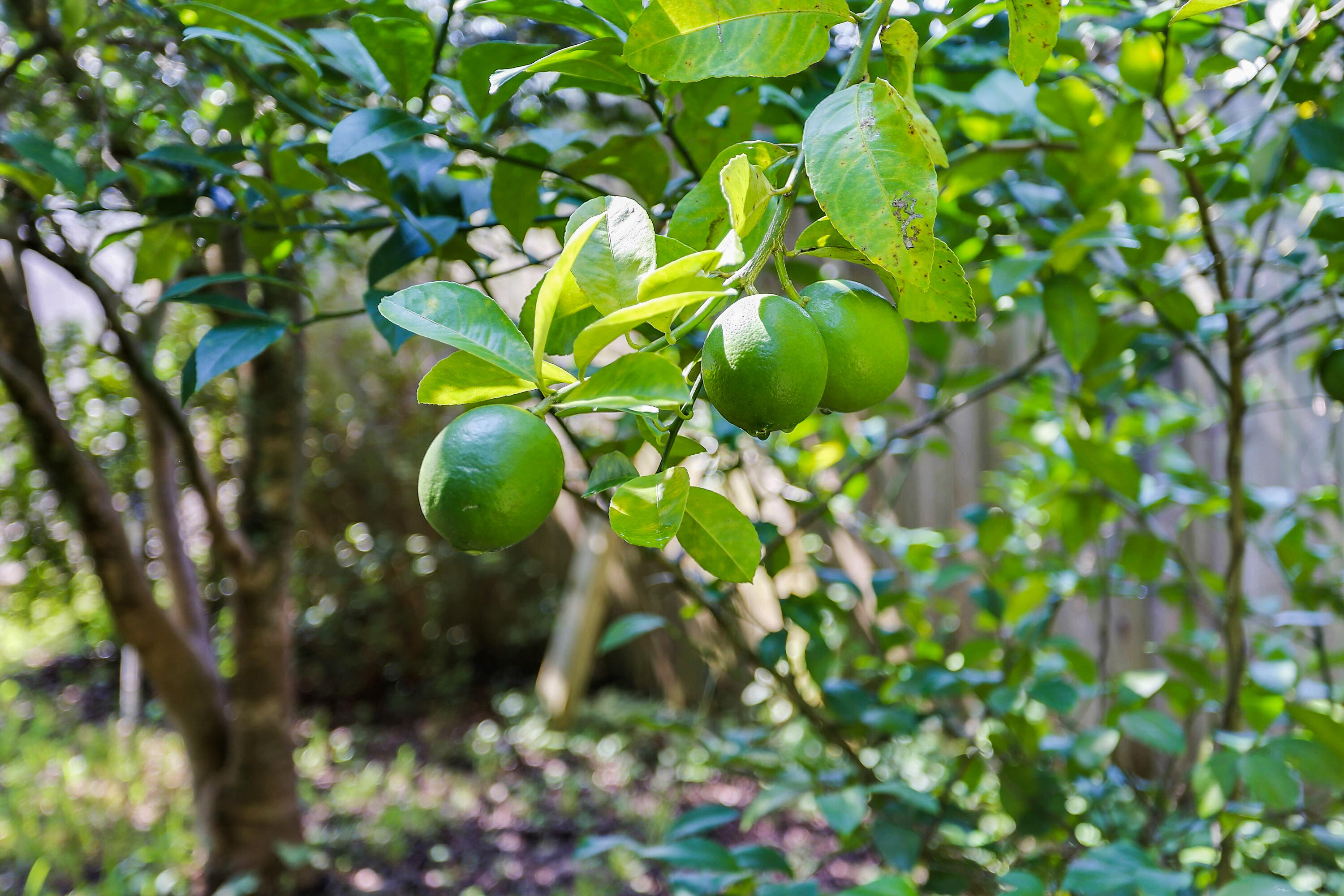 Meigs Addn To Niceville - Residential