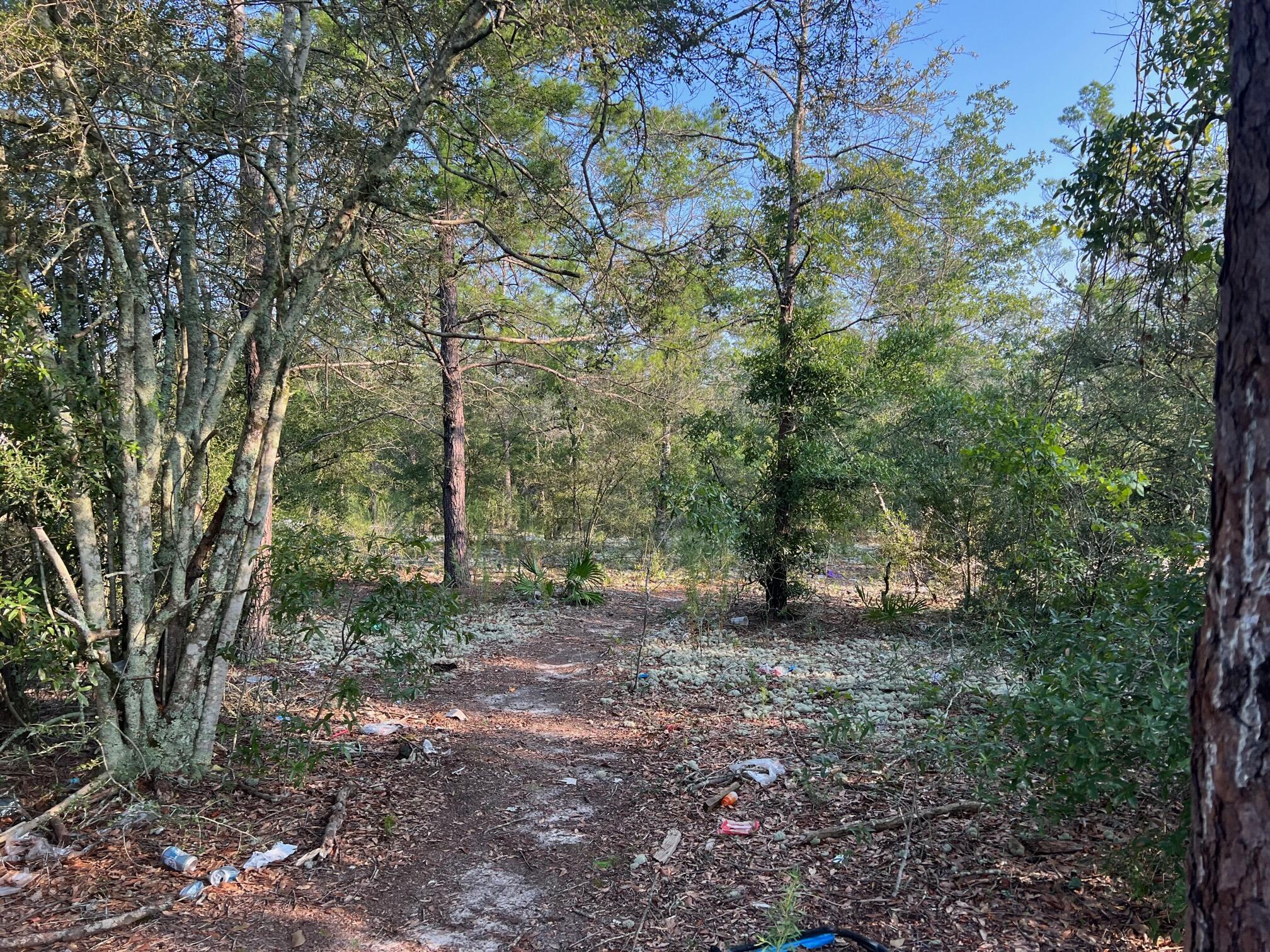 This 80x125 lightly wooded lot is just under 1/4 acre and located just off paved road in growing Mossy Head community of Defuniak Springs. Property is located minutes from Blackstone Golf Course and I-10. Defuniak Springs & Crestview less than 20 minutes and apx. 40 minutes to Niceville & Eglin AFB. No utilities currently on the property but power on street. Public water is available with paid tap fee (verify availability and cost with Mossy Head Water Works). Septic would be required. Manufactured homes allowed!