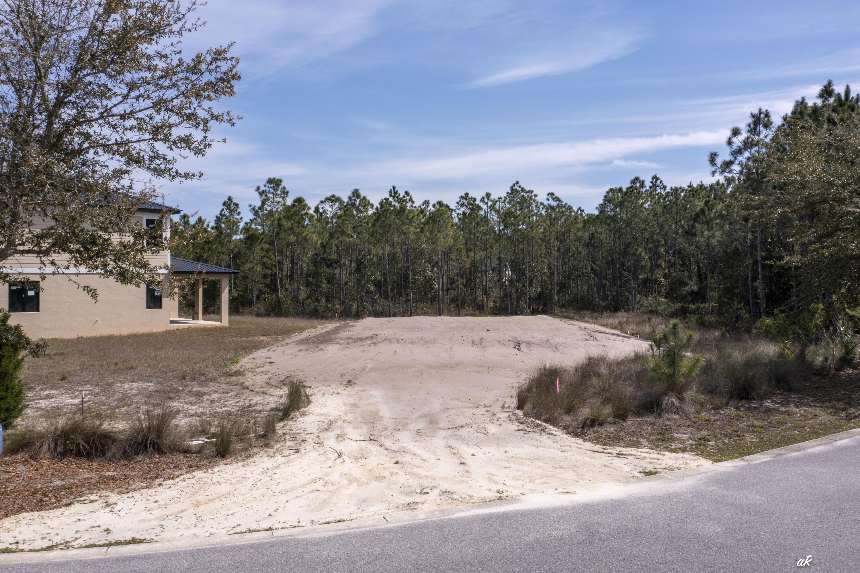 Shallow Reed - Residential