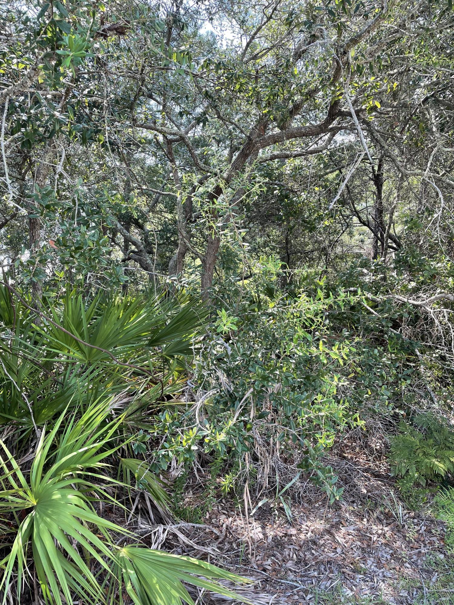 Lakewood of Seagrove Beach Plat II - Land