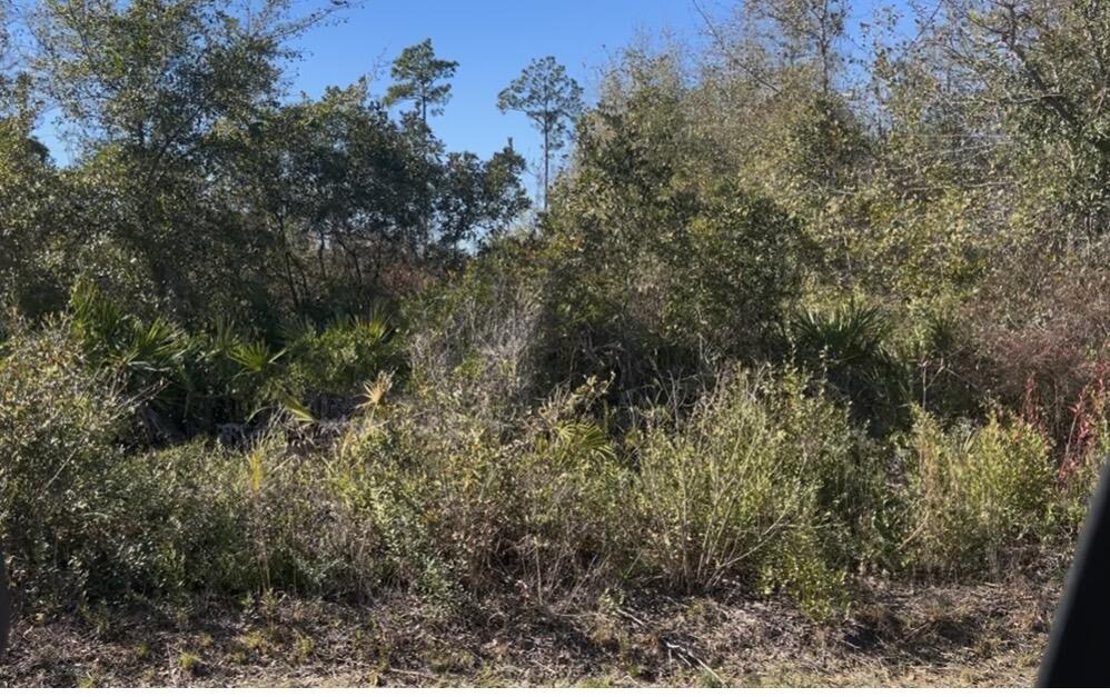 N Patrick Steet / Overstreet Area - Land