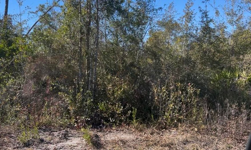 Beautifully wooded 1+ acre home site on N Patrick St in Port St Joe. This vacant parcel gives you a natural old Florida feel with mature trees and native vegetation and sits just a short drive from downtown Port St Joe, beaches, boat ramps and the Overstreet bridge.Bring your builder and build the perfect coastal retreat with plenty of room for a spacious home, large porch, and all your outdoor toys. This lot offers generous road frontage and depth. There is ample space for privacy, a detached garage or a workshop.Whether you are planning a full-time residence or a vacation getaway, this lot offers flexibility in a quiet area that still keeps you close to both Bay and Gulf County amenities.   Don't miss the opportunity to build your dream home on a large and private lot.