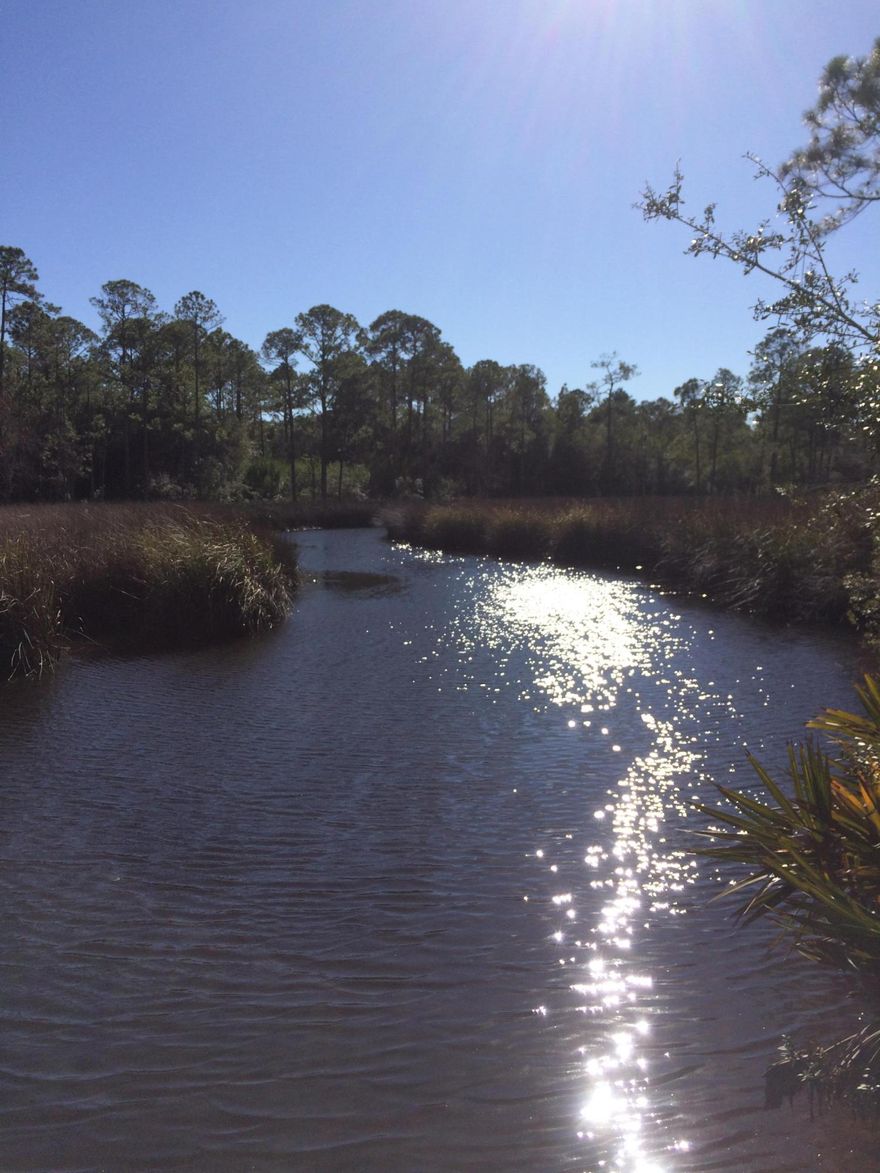 Great price on this large WATERFRONT lot, in highly desirable South Walton. Enjoy all the amenities of the 30A lifestyle, along with the luxury of waterfront living. Possible bay views from upper stories and boat access to the bay through the bayou at your back door! Endless possibilities with this large lot, no HOA fees or restrictions in this rapidly developing area. Road is in process of being paved, completion due June 2017!!!Seller is a licensed Florida Real Estate Agent. Buyer is responsible for personally verifying details about this property. All information contained in the listing is believed to be accurate but not guaranteed.