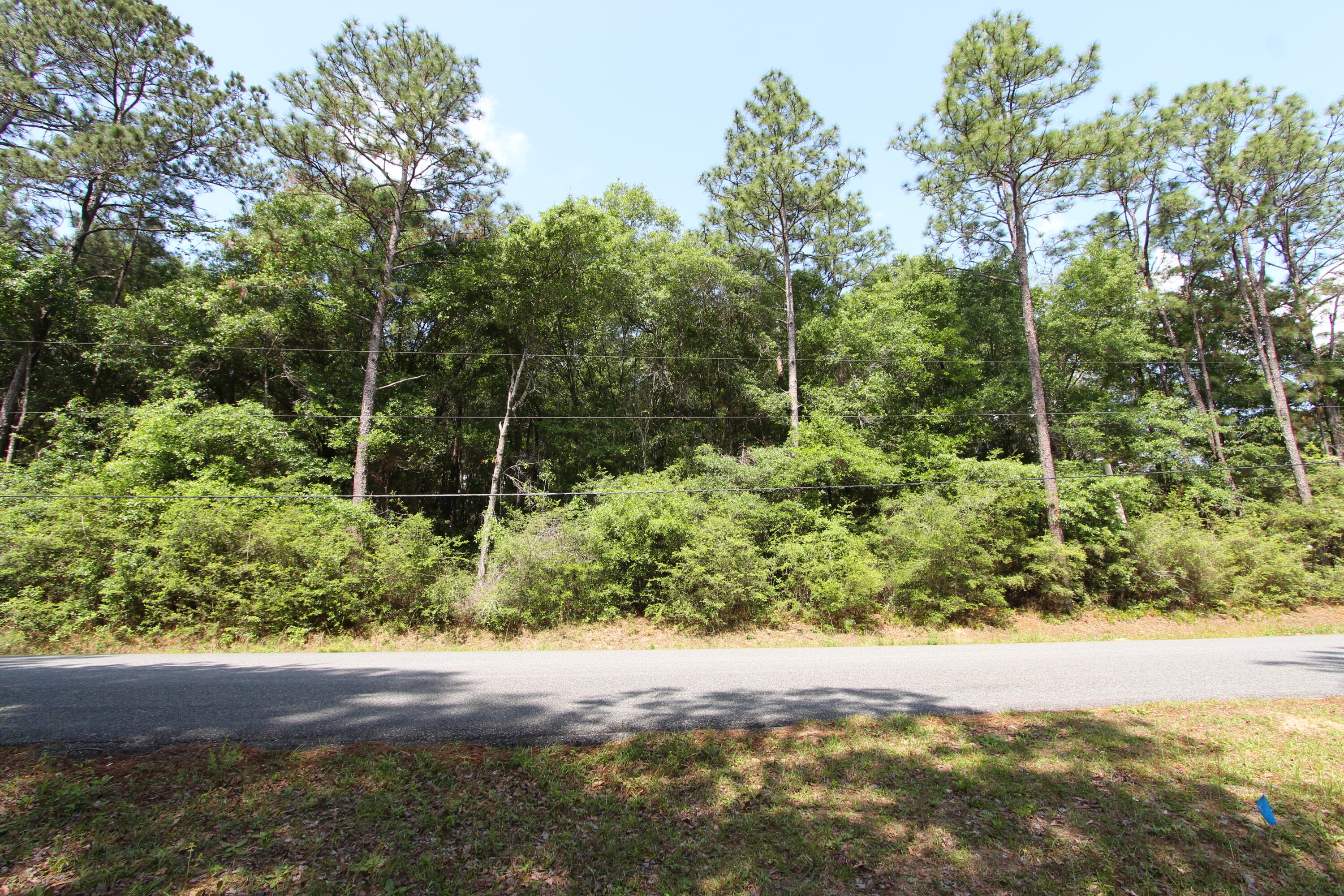 Hill Top Acres - Land