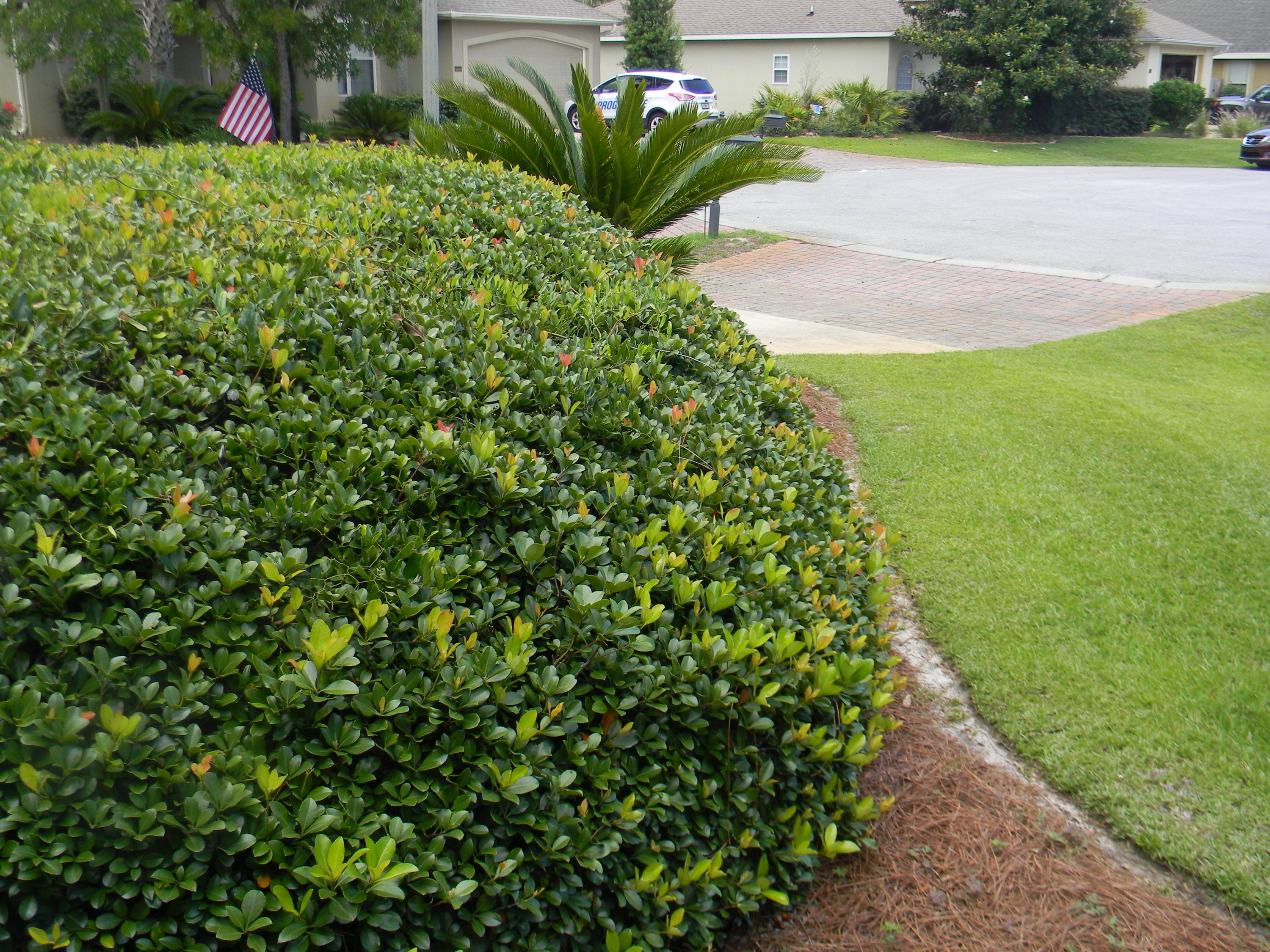 CHARDONNAY ESTATES - Residential