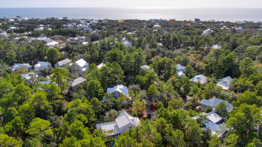 Incredible oversized homesite in the gated private neighborhood of the Hammocks at Seagrove. Located on a quiet cul-de-sac, this half acre parcel is approximately a quarter mile to the sugar white sands and emerald waters of the Gulf of Mexico. Ideally situated between Seaside and Seagrove Beach, this property offers incredible walking access to all 30A has to offer including fine dining, high-end shopping and world-class outdoor activities. This large lot offers an expansive foot print for a future owner to build their dream. Do not miss the opportunity to own this unique 30A property.