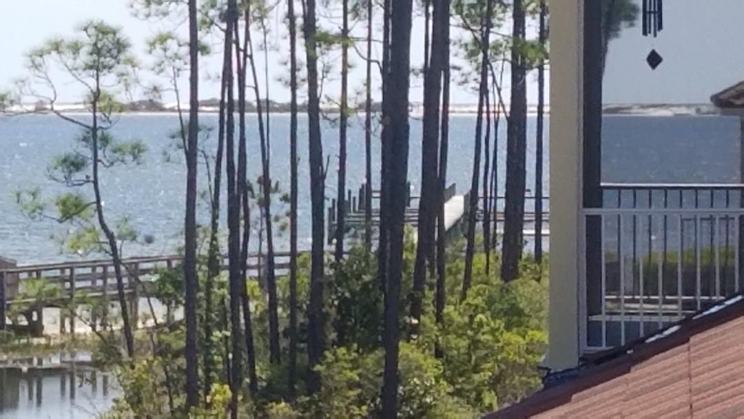 PALMETTO LAKE PRESERVE - Land