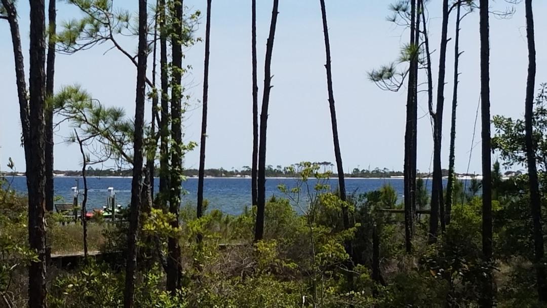 PALMETTO LAKE PRESERVE - Land