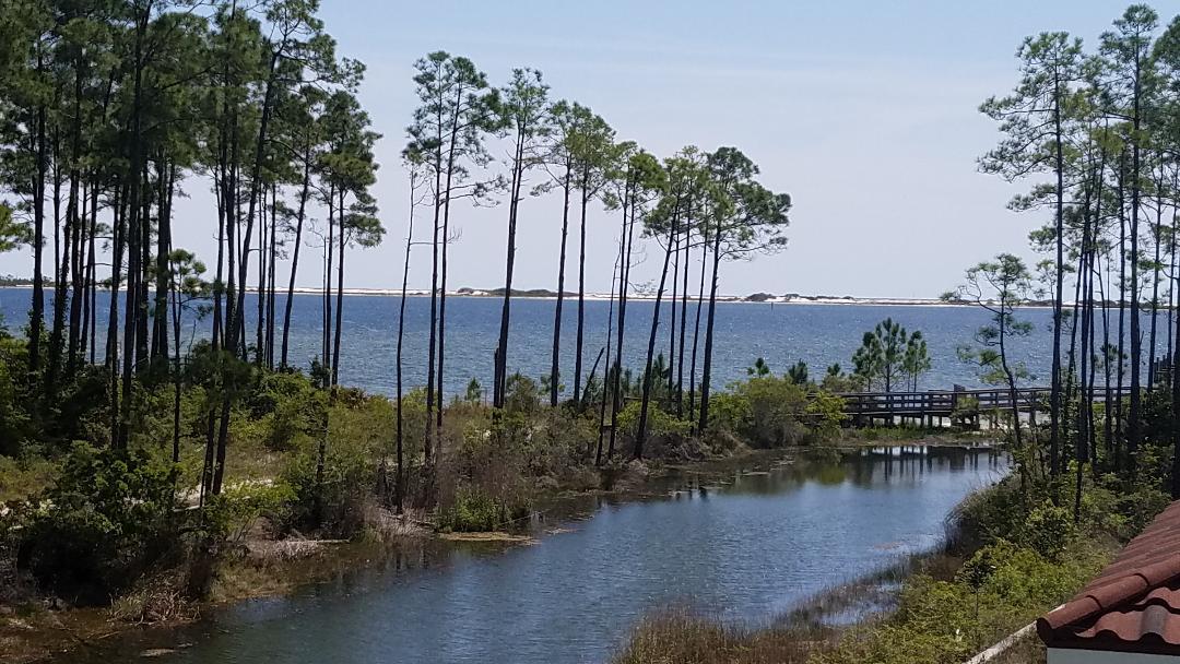 PALMETTO LAKE PRESERVE - Land